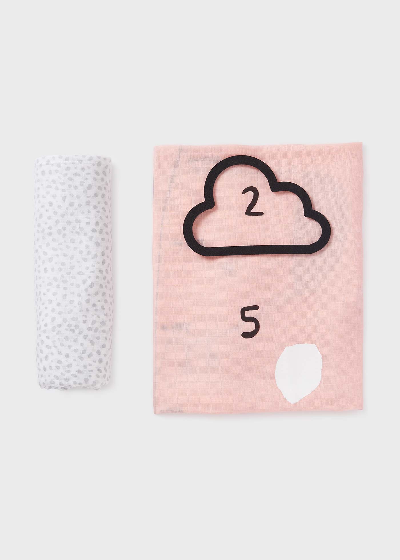 Baby 2-Pack Milestone Muslin