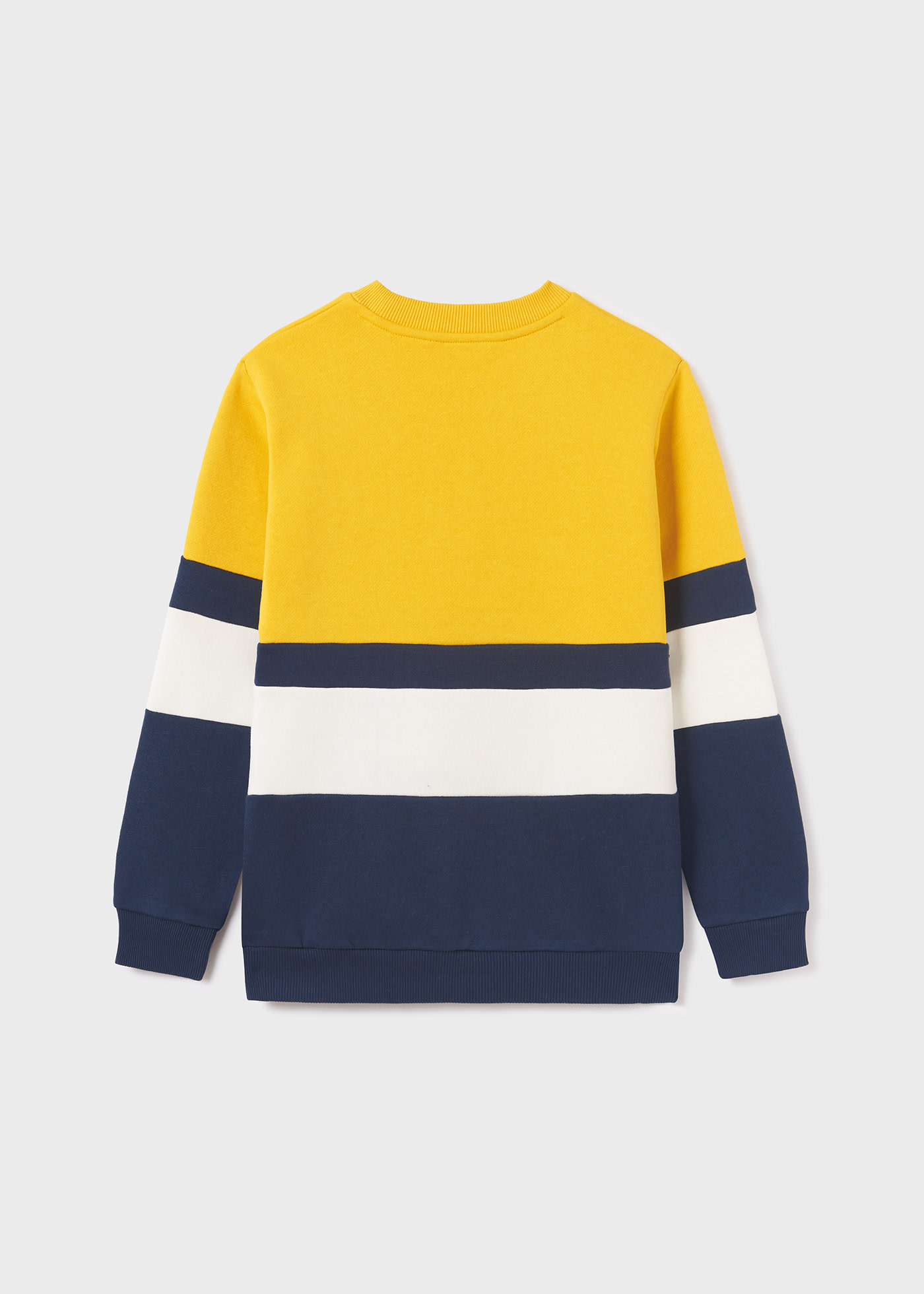 Colorblock crewneck sweatshirt boy