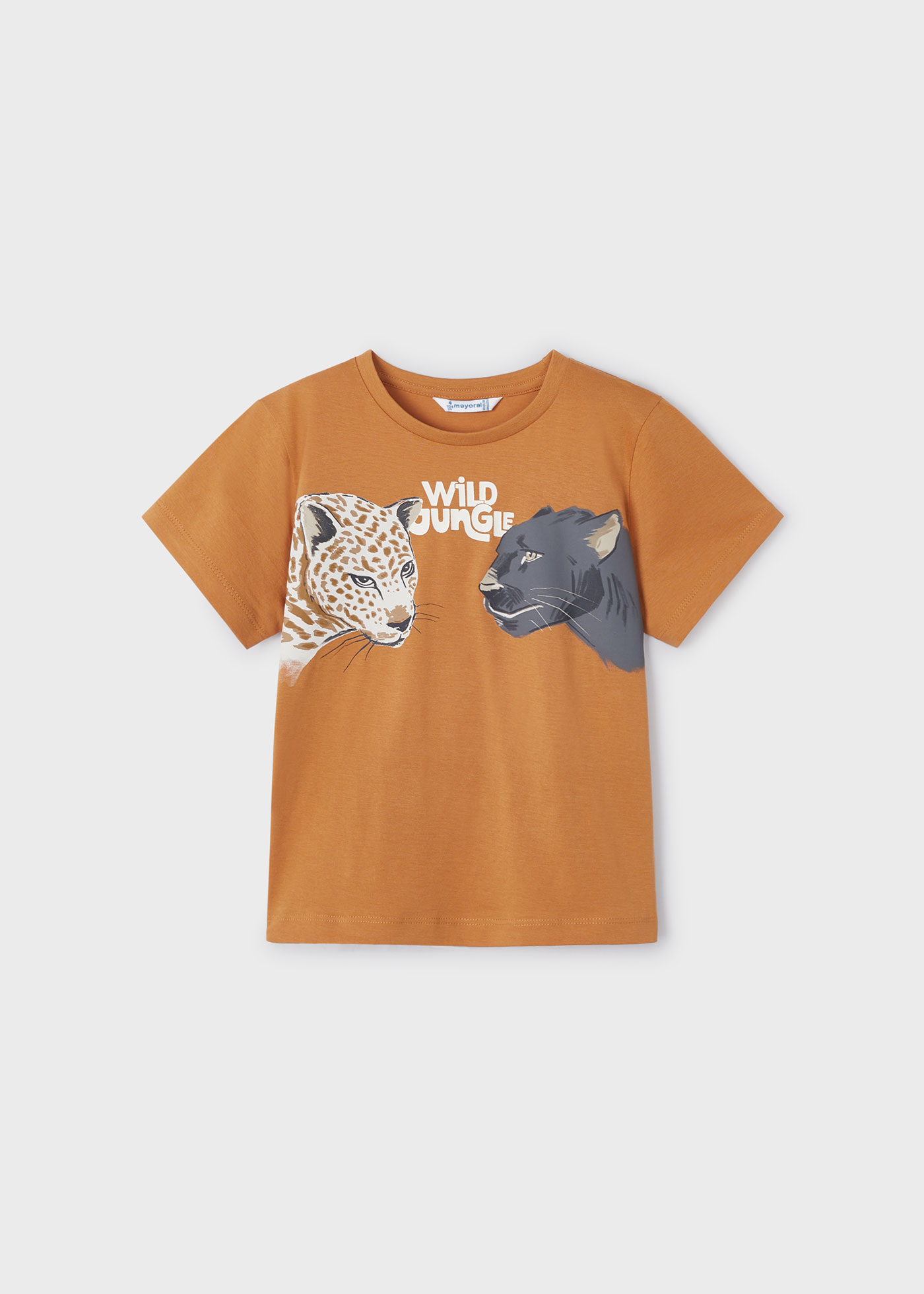 Boys t-shirt animal graphic Better Cotton