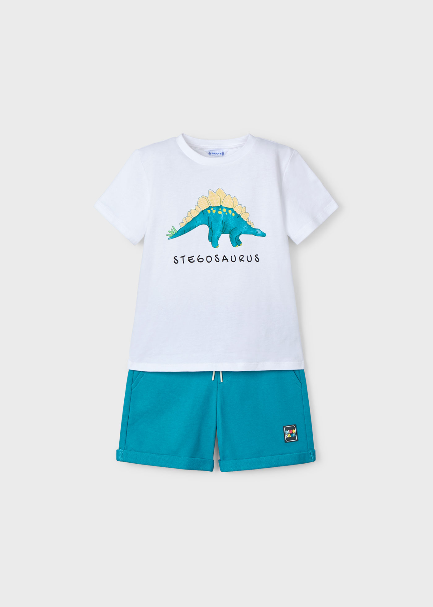 Boy Dinosaur Set