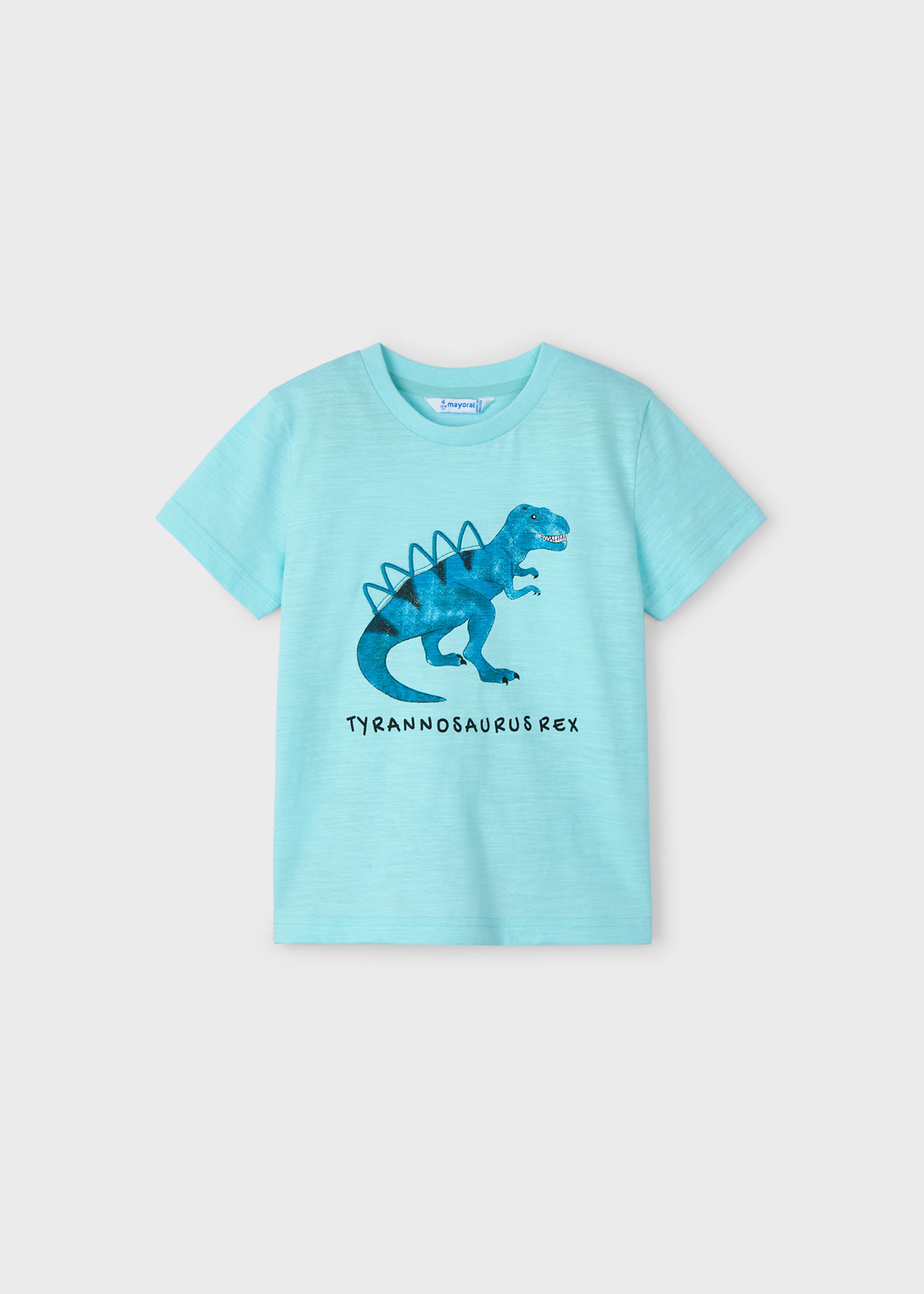 Boy T-Rex T-shirt