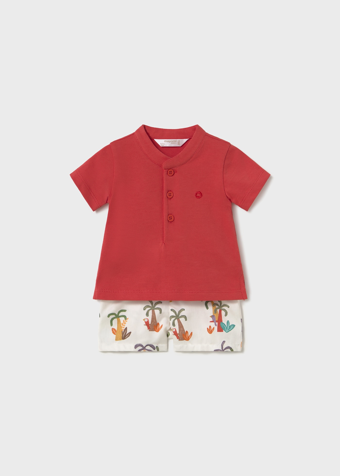 Newborn boy shorts and polo shirt set