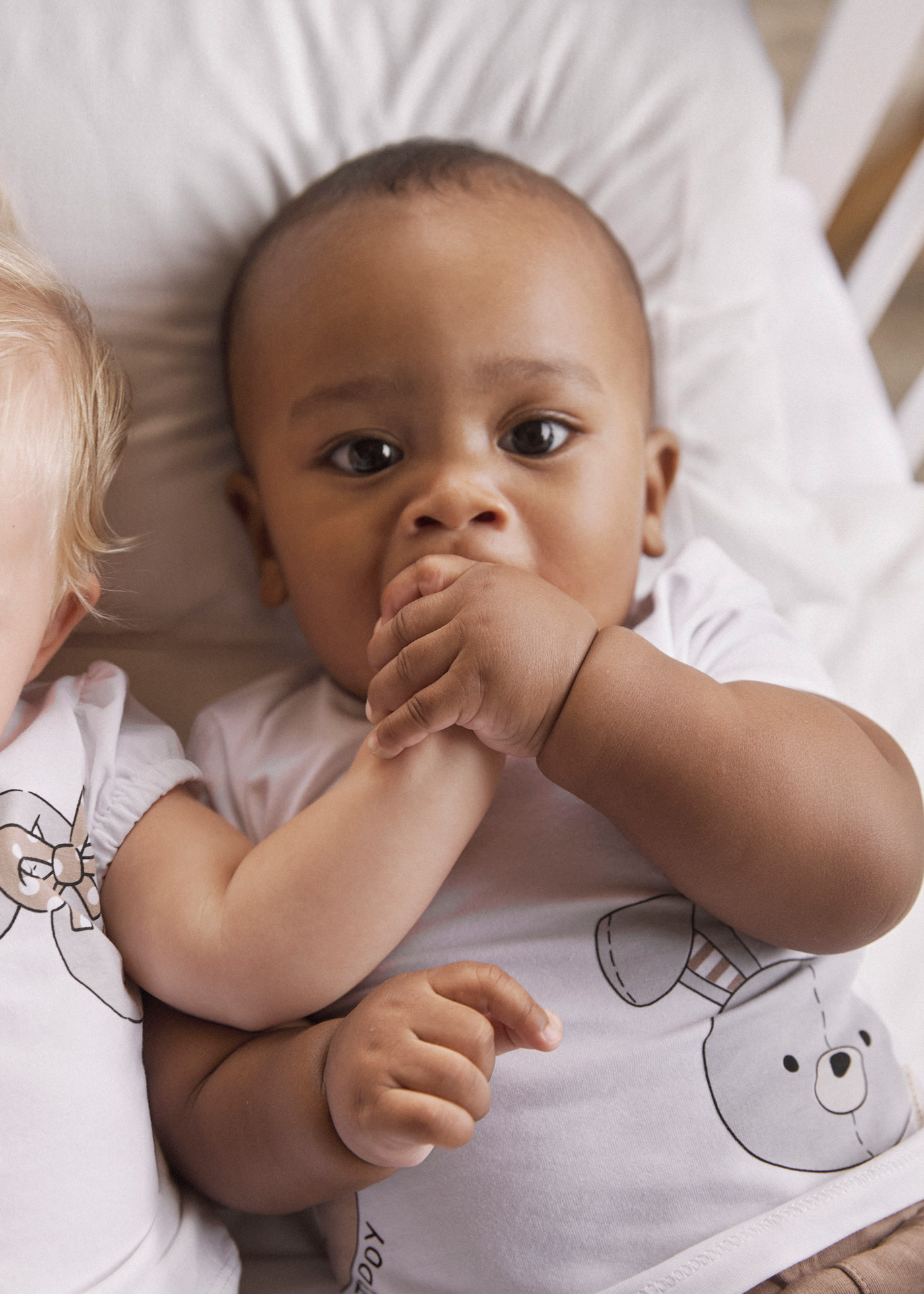 Newborn boy animal shorts and t-shirt set