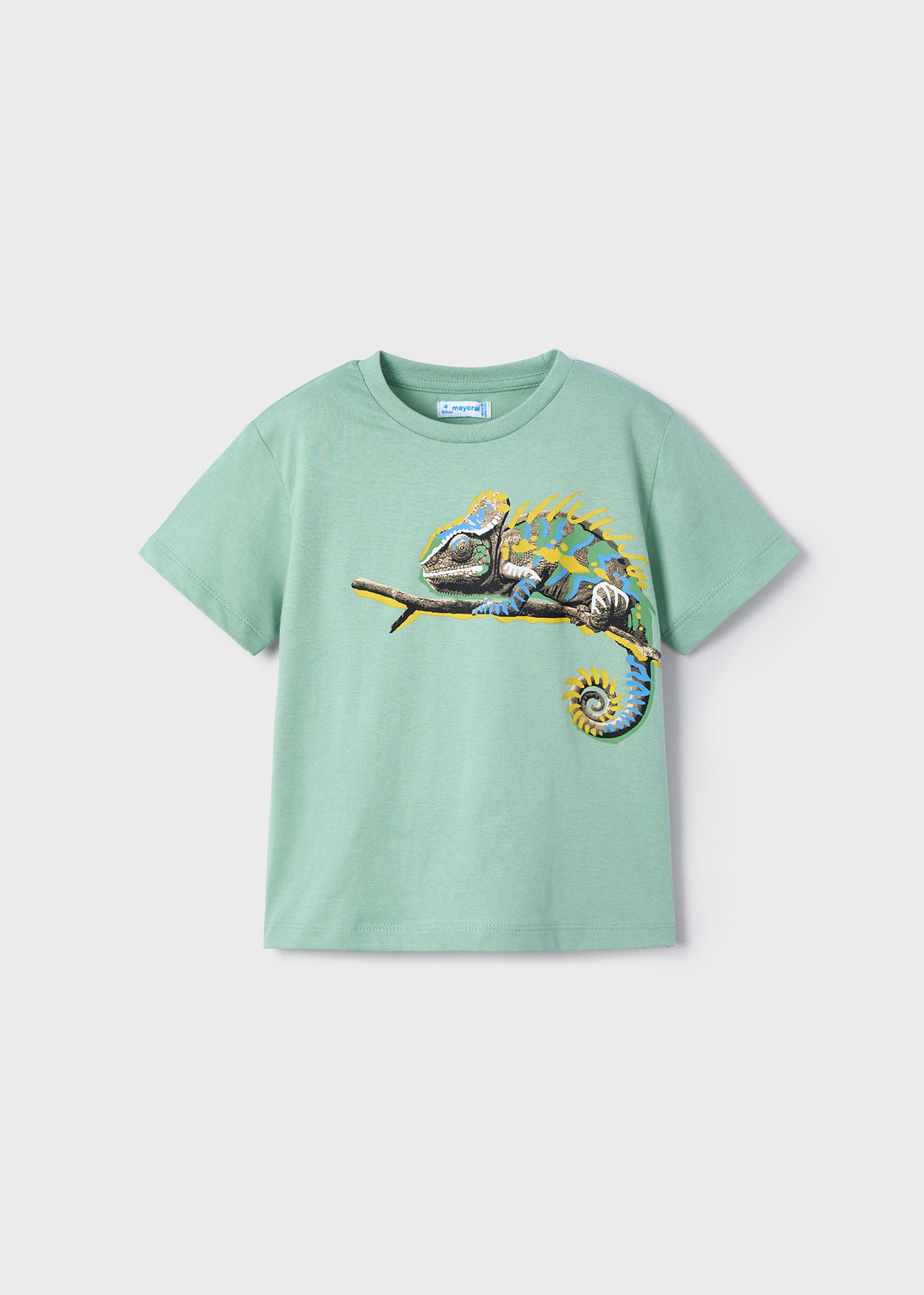 Boy Chameleon Graphic T-Shirt