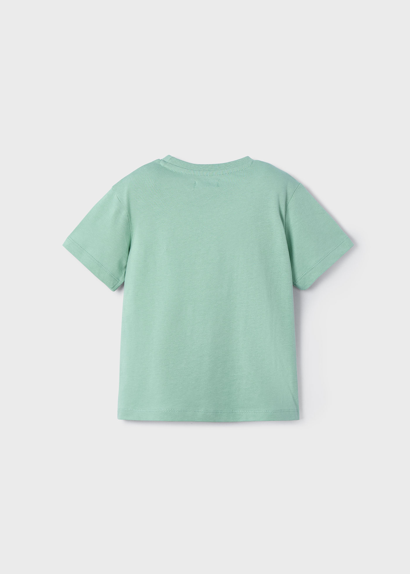 T-shirt camaleão menino