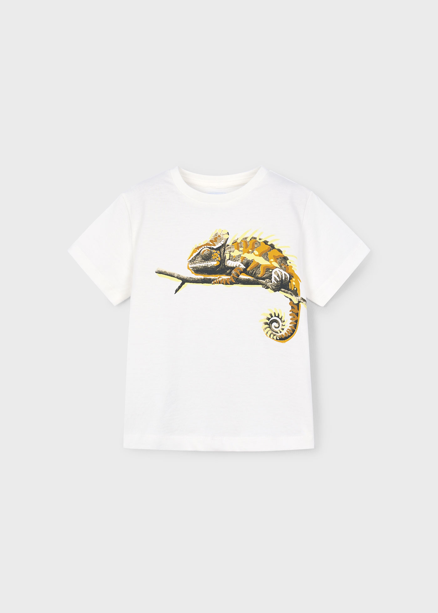 Boy Chameleon Graphic T-Shirt