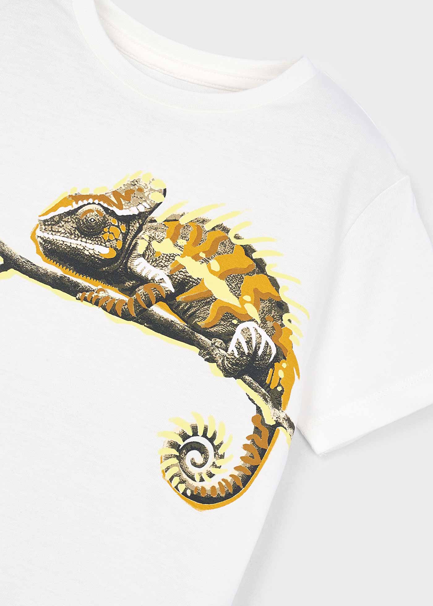 T-shirt camaleão menino