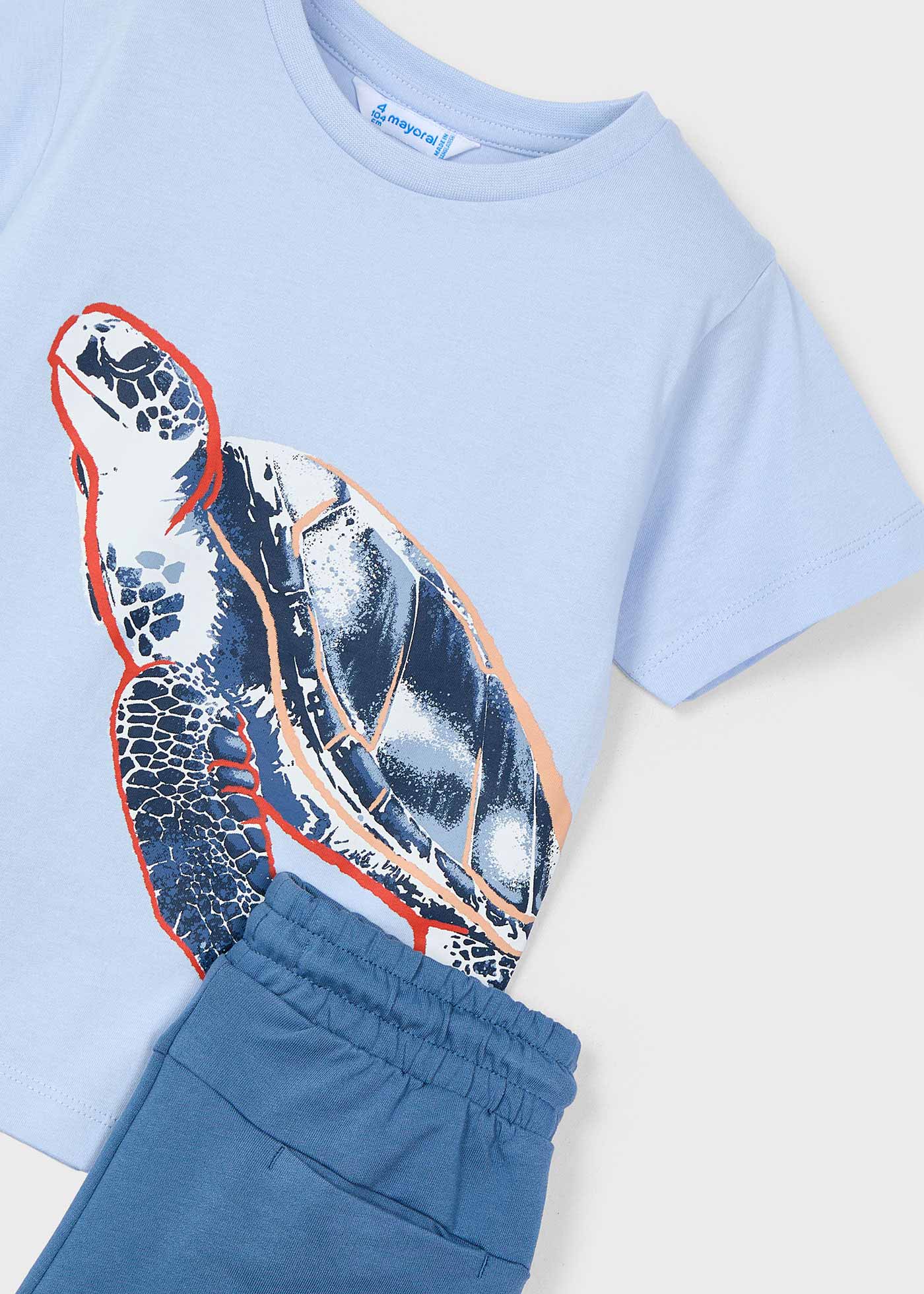 Boy turtle print shorts and t-shirt set