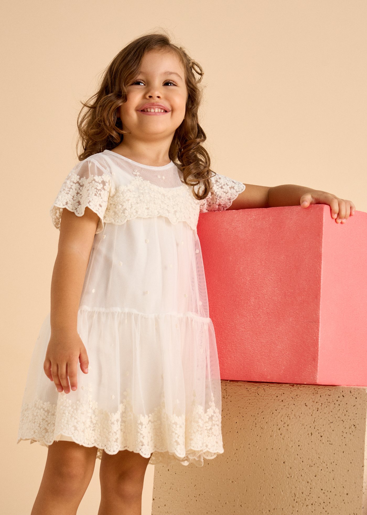 Girl Embroidered Tulle Dress