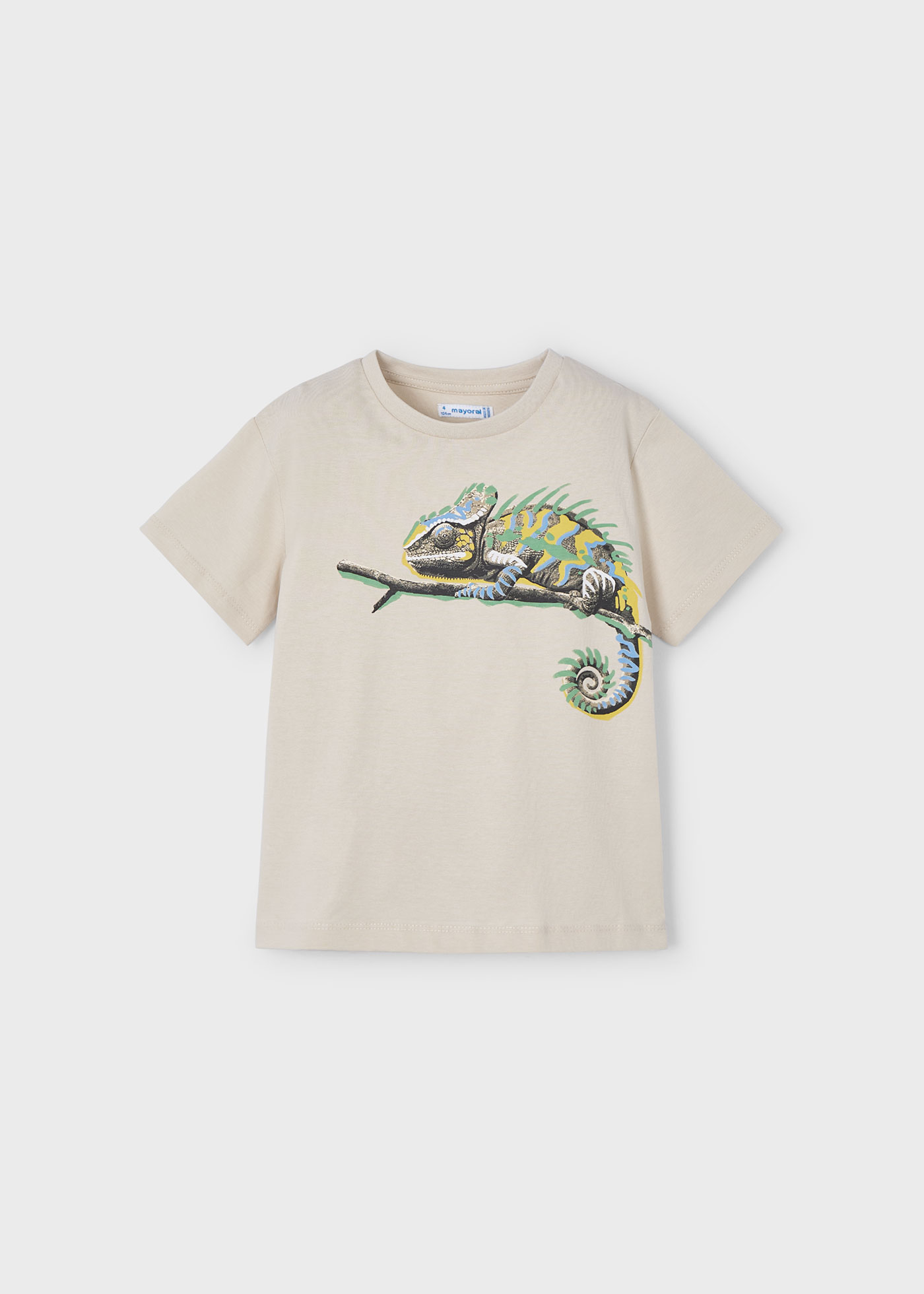 Boy Chameleon Graphic T-Shirt