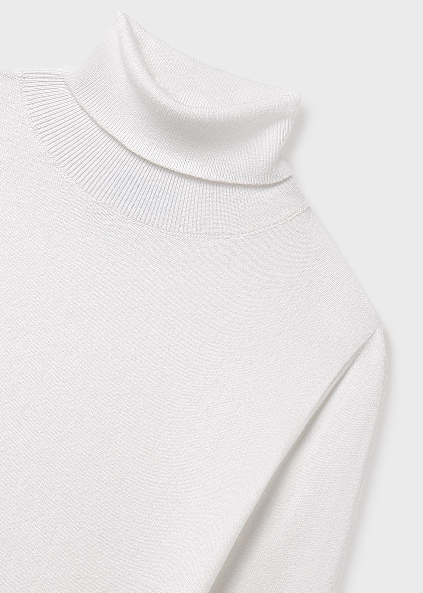 Girl Basic Turtleneck Jumper