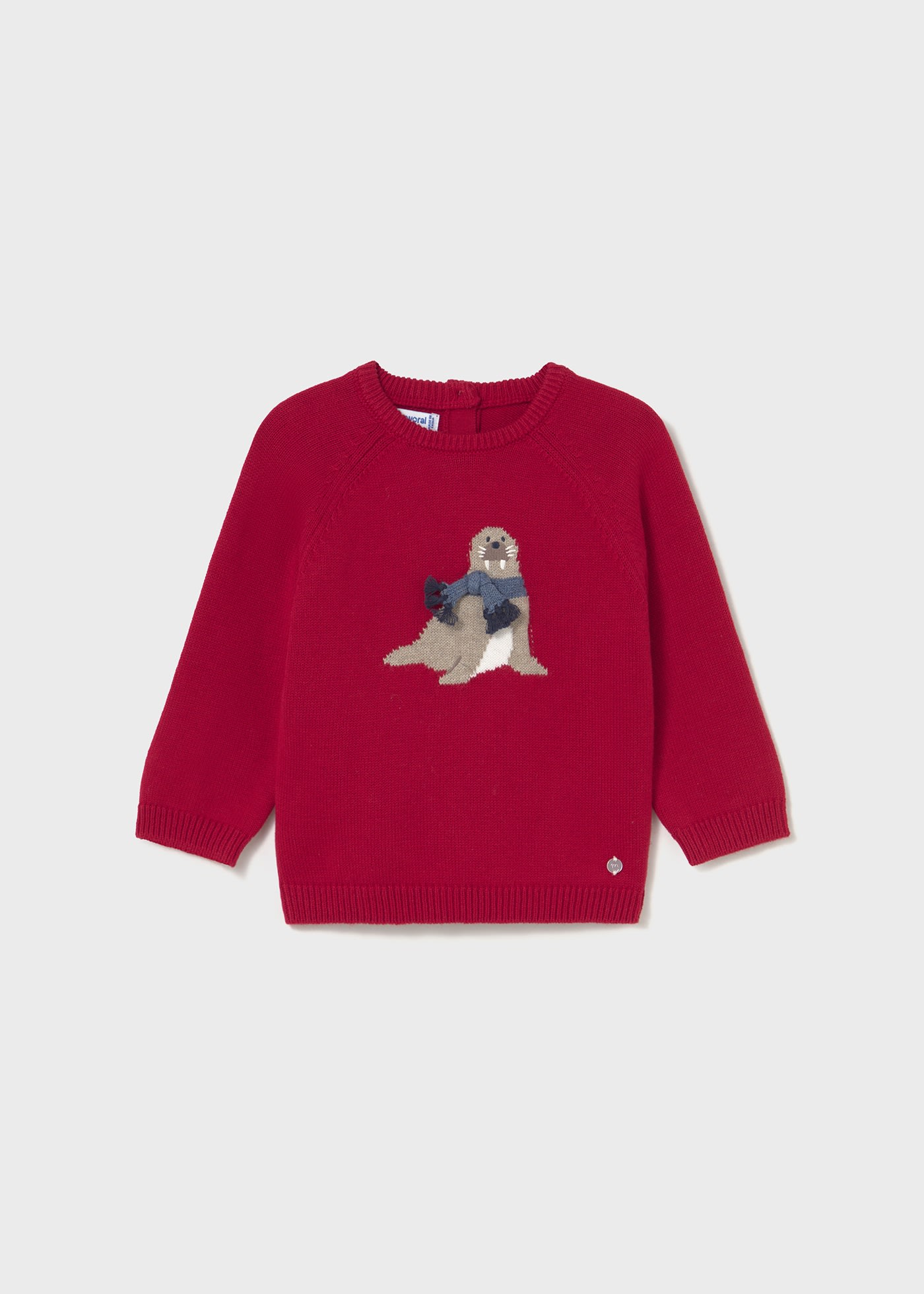 Baby horse jumper