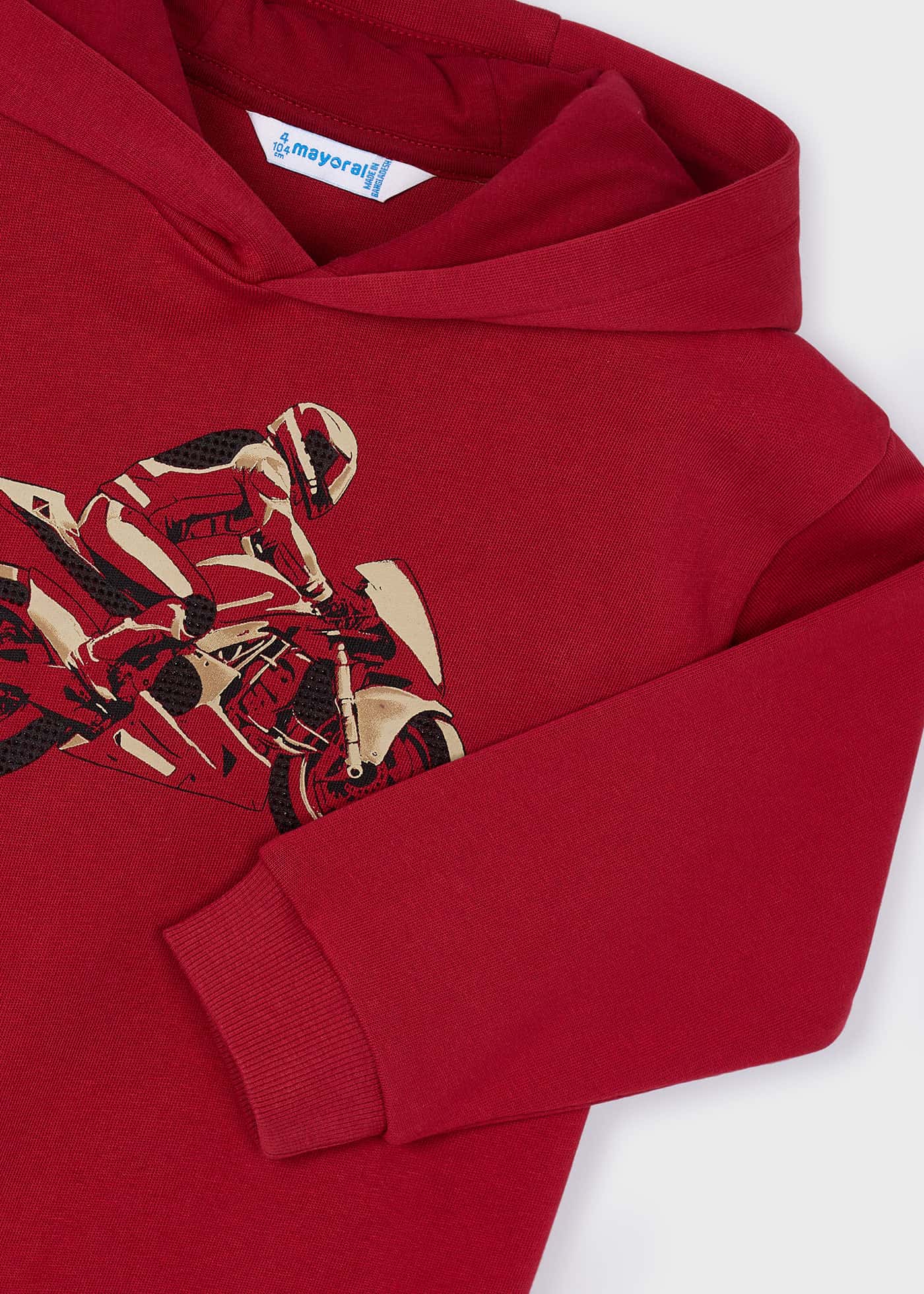 Boys dinosaur hoody
