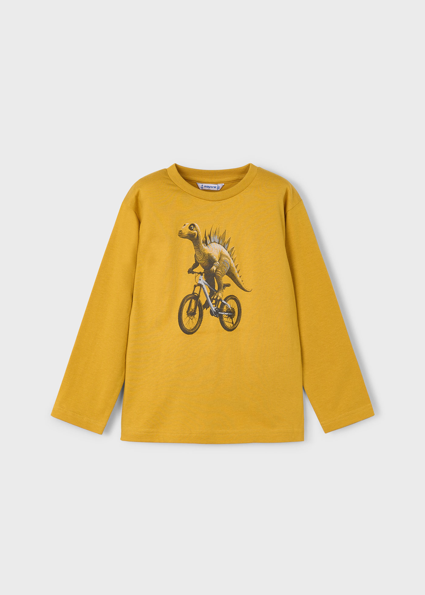 Boy Printed T-Shirt
