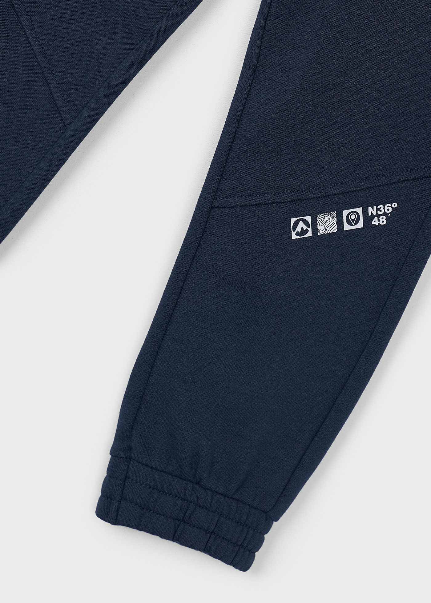 Boy Fleece Joggers