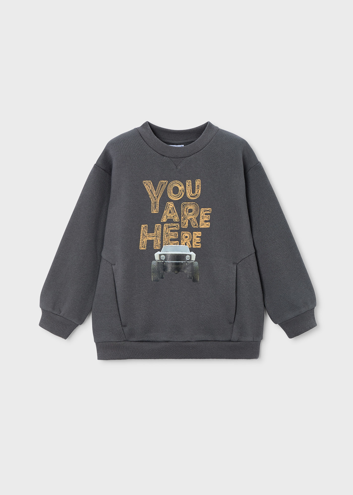Boy Printed Sweatshirt