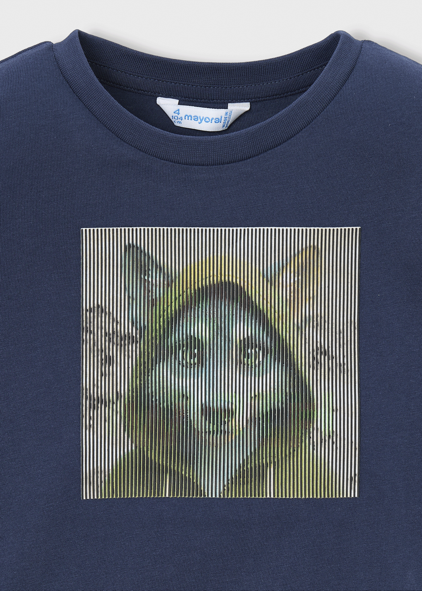 Boy Printed T-Shirt
