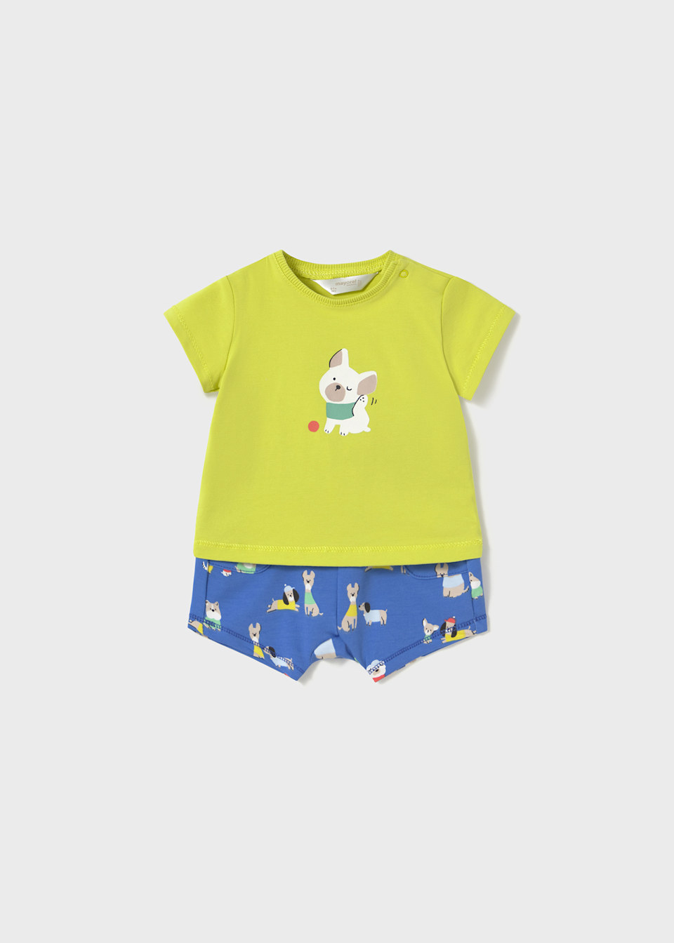 Newborn boy animal shorts and t-shirt set