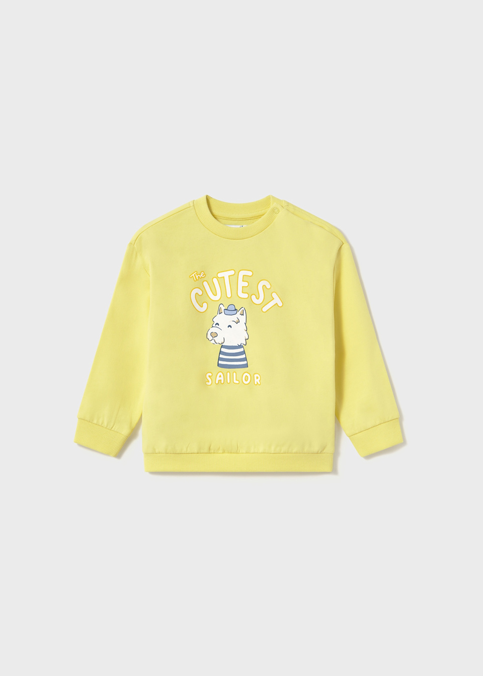 Sweat chien bébé