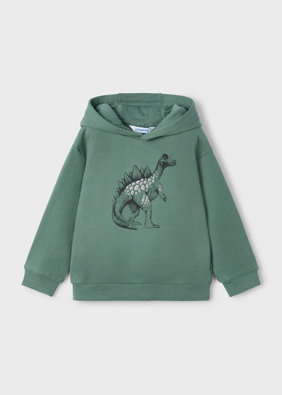 Boys dinosaur hoody