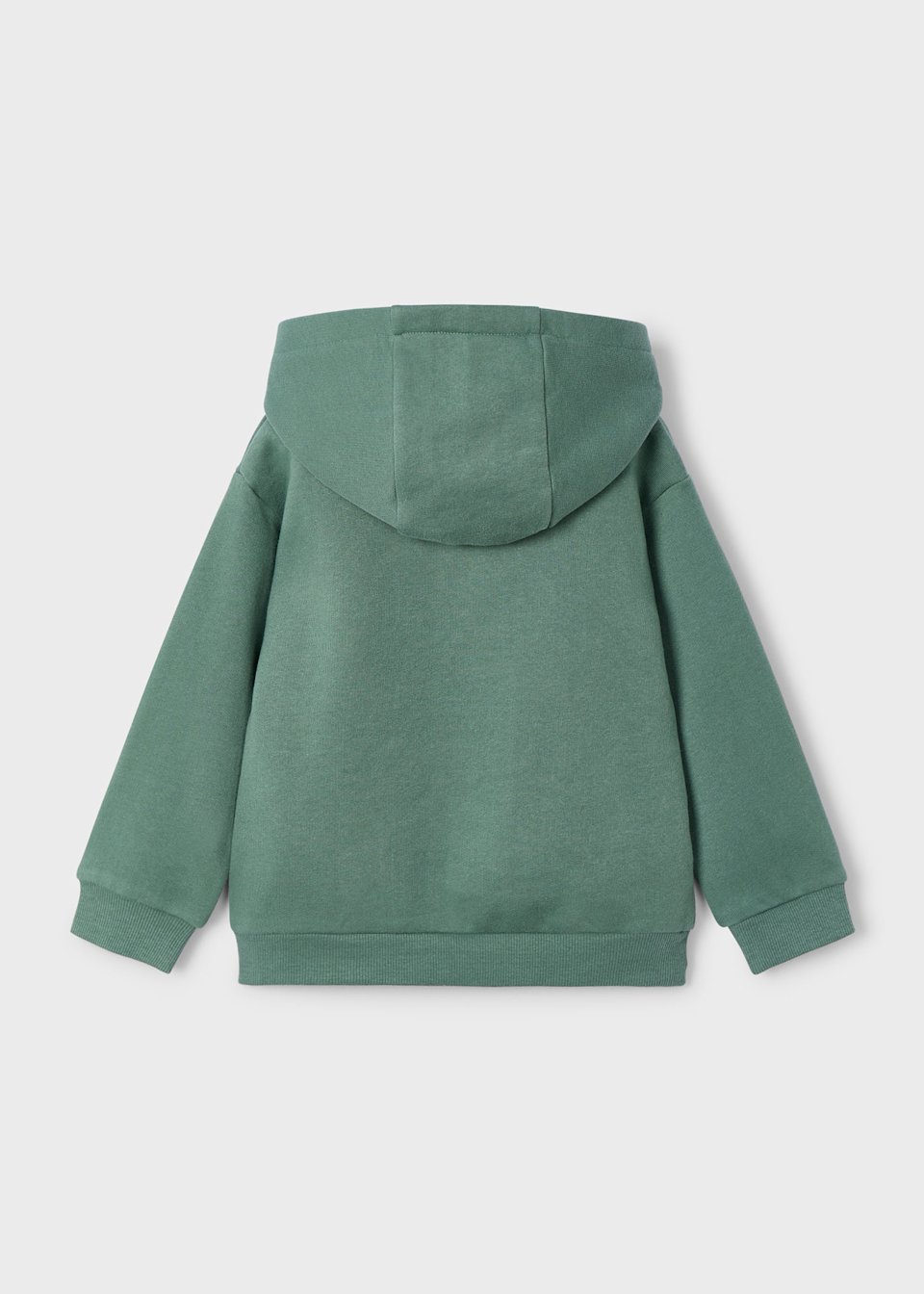 Boys dinosaur hoody