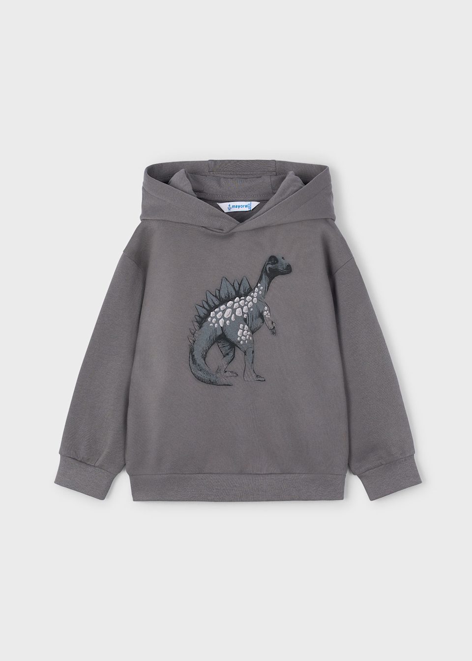 Boy Printed Sweatshirt