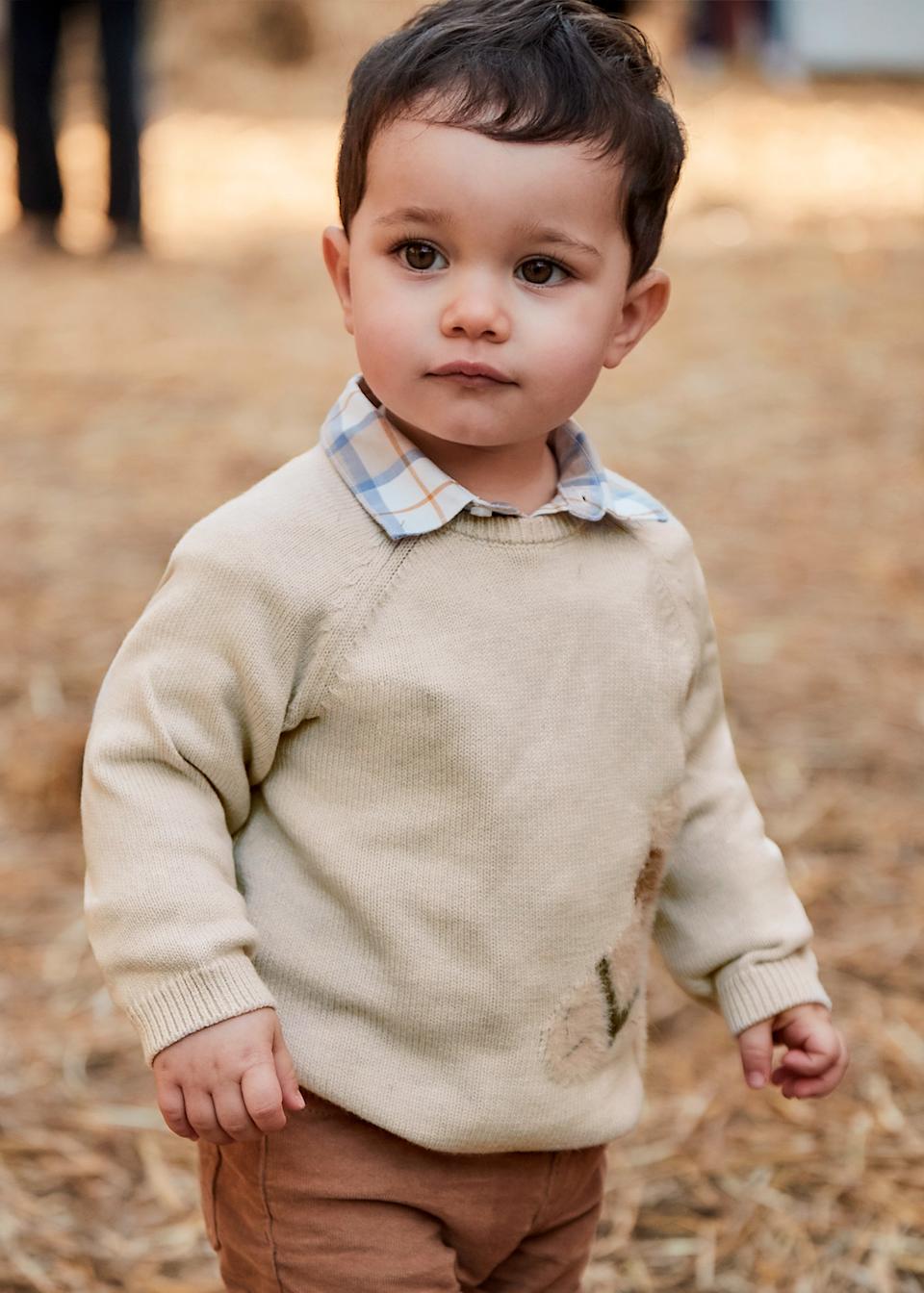 Pull intarsia animal unisex bébé