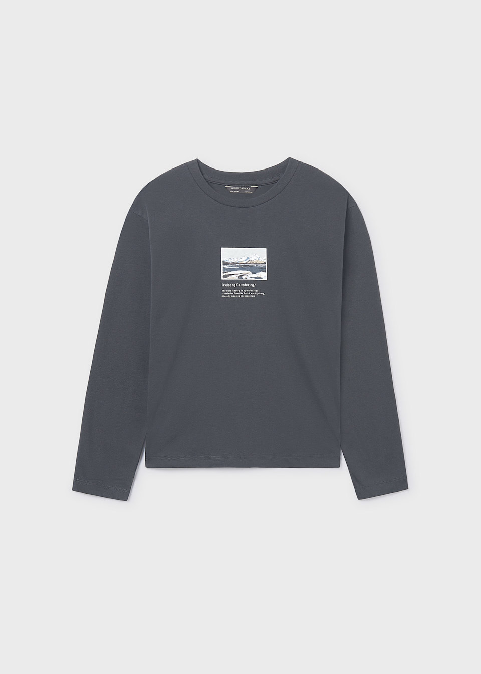 Boys iceberg T-shirt