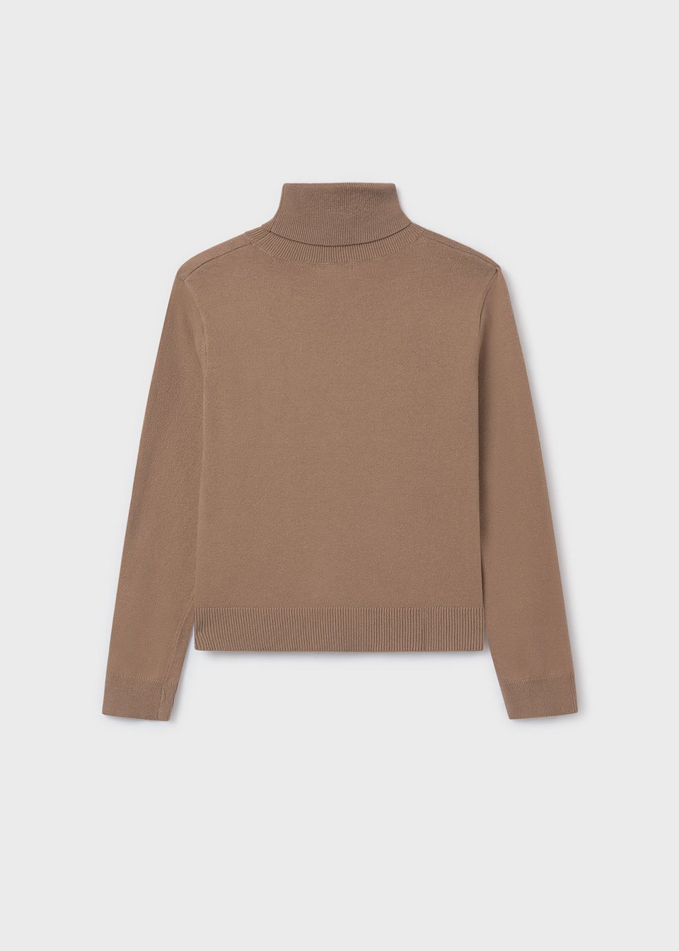 Girl Basic Turtleneck Sweater