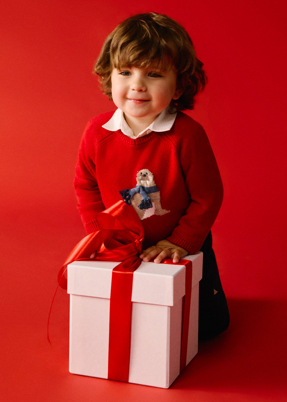 Baby Unisex Animal Intarsia Sweater