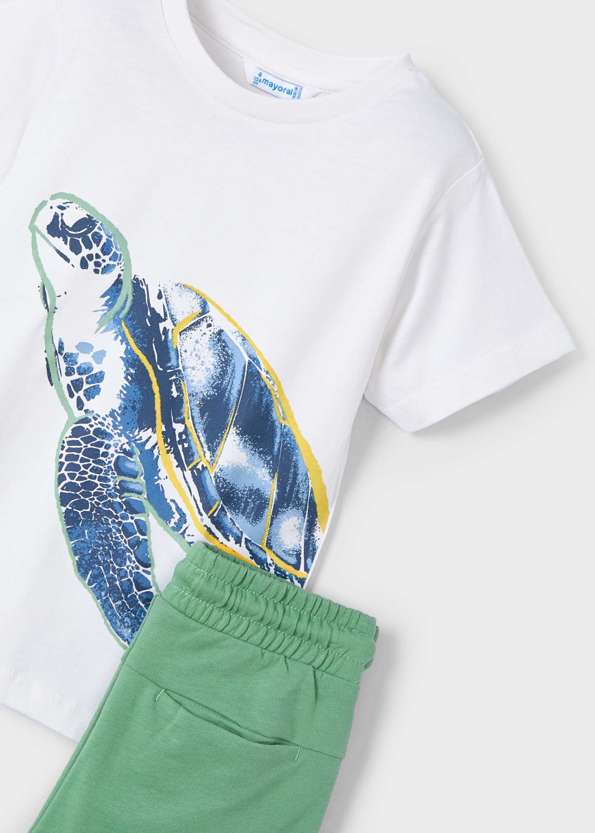 Boy Turtle T-Shirt and Shorts Set Boy Turtle T-Shirt and Shorts Set