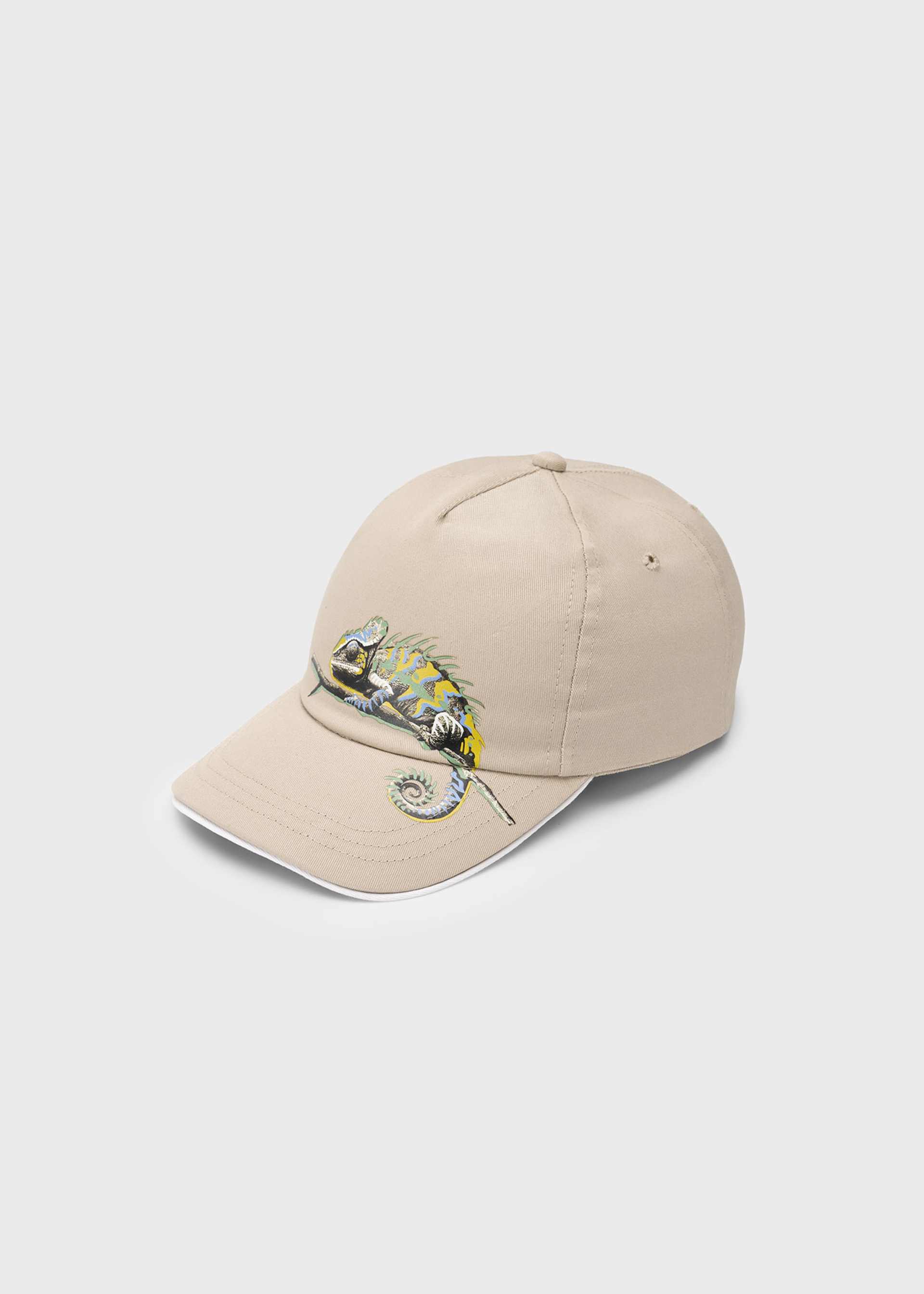 Boy chameleon cap