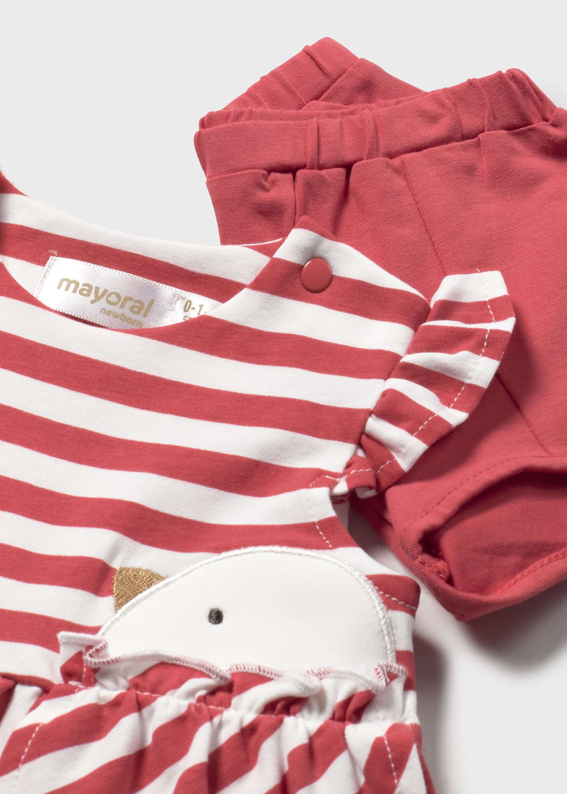 Newborn girl 4 piece chick set