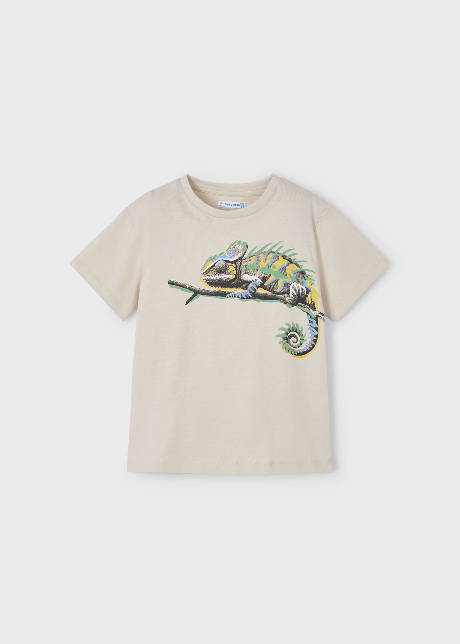 Boy chameleon t-shirt Boy chameleon t-shirt