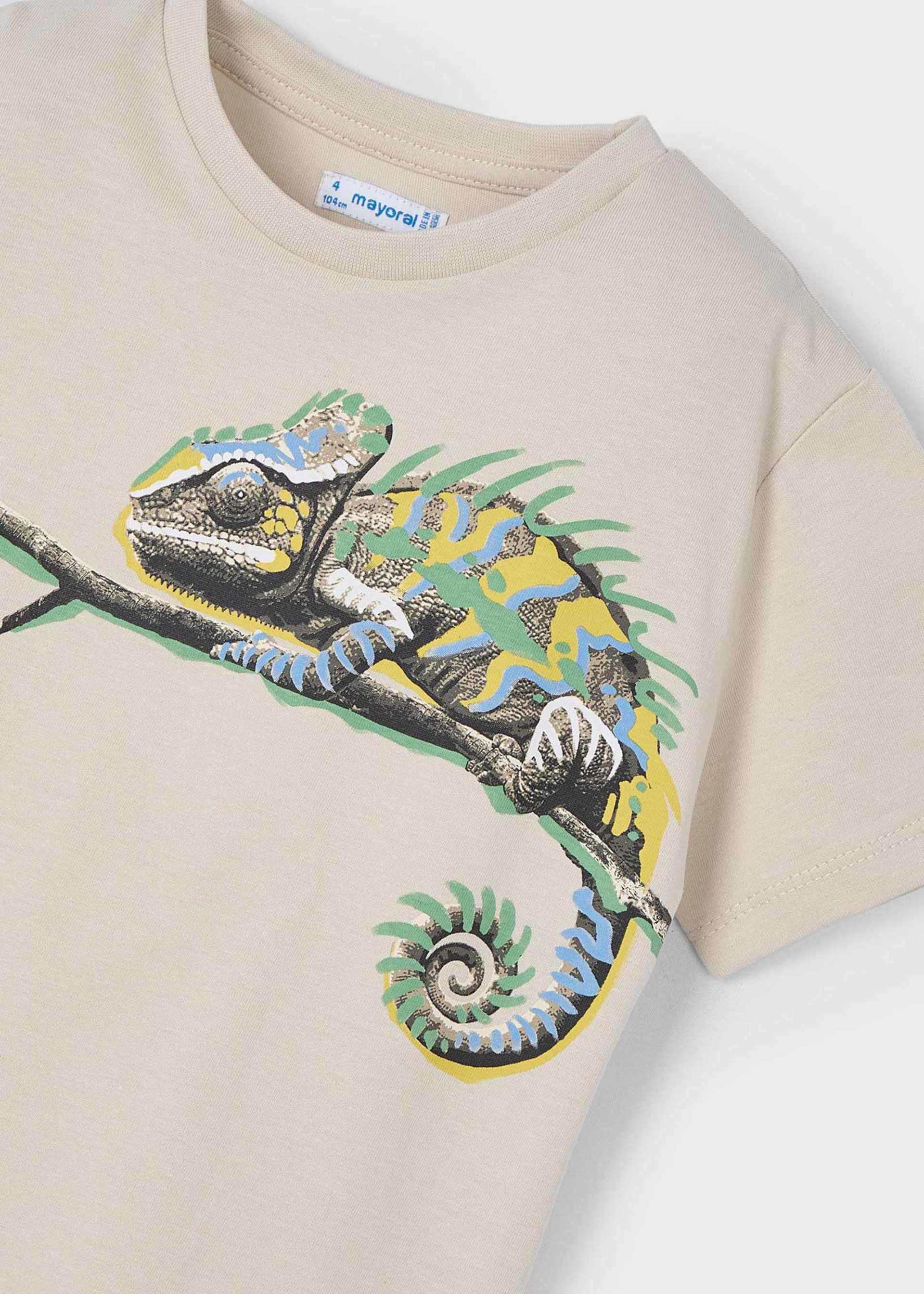 Boy chameleon t-shirt Boy chameleon t-shirt