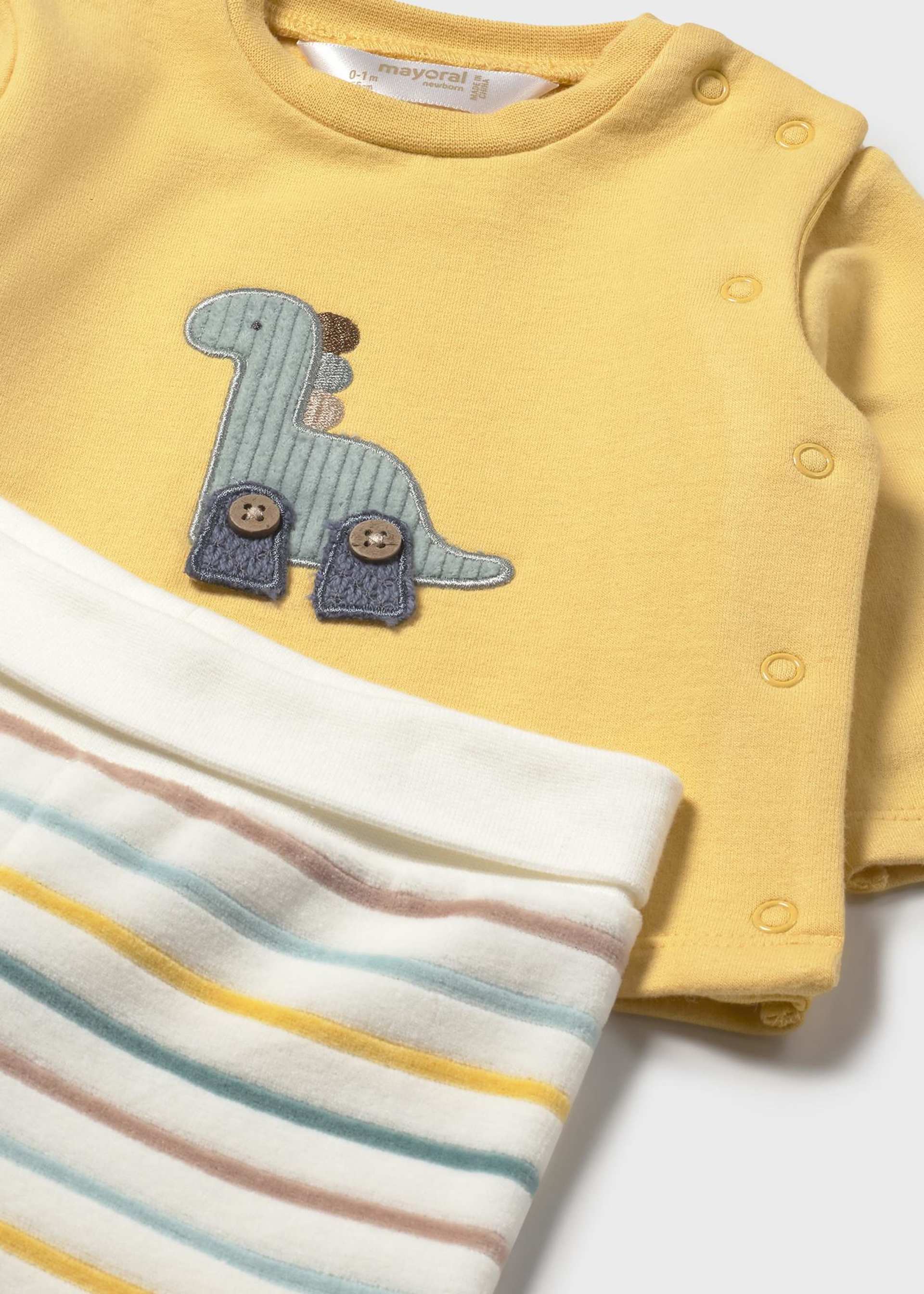 Newborn Pants and Sweatshirt Set