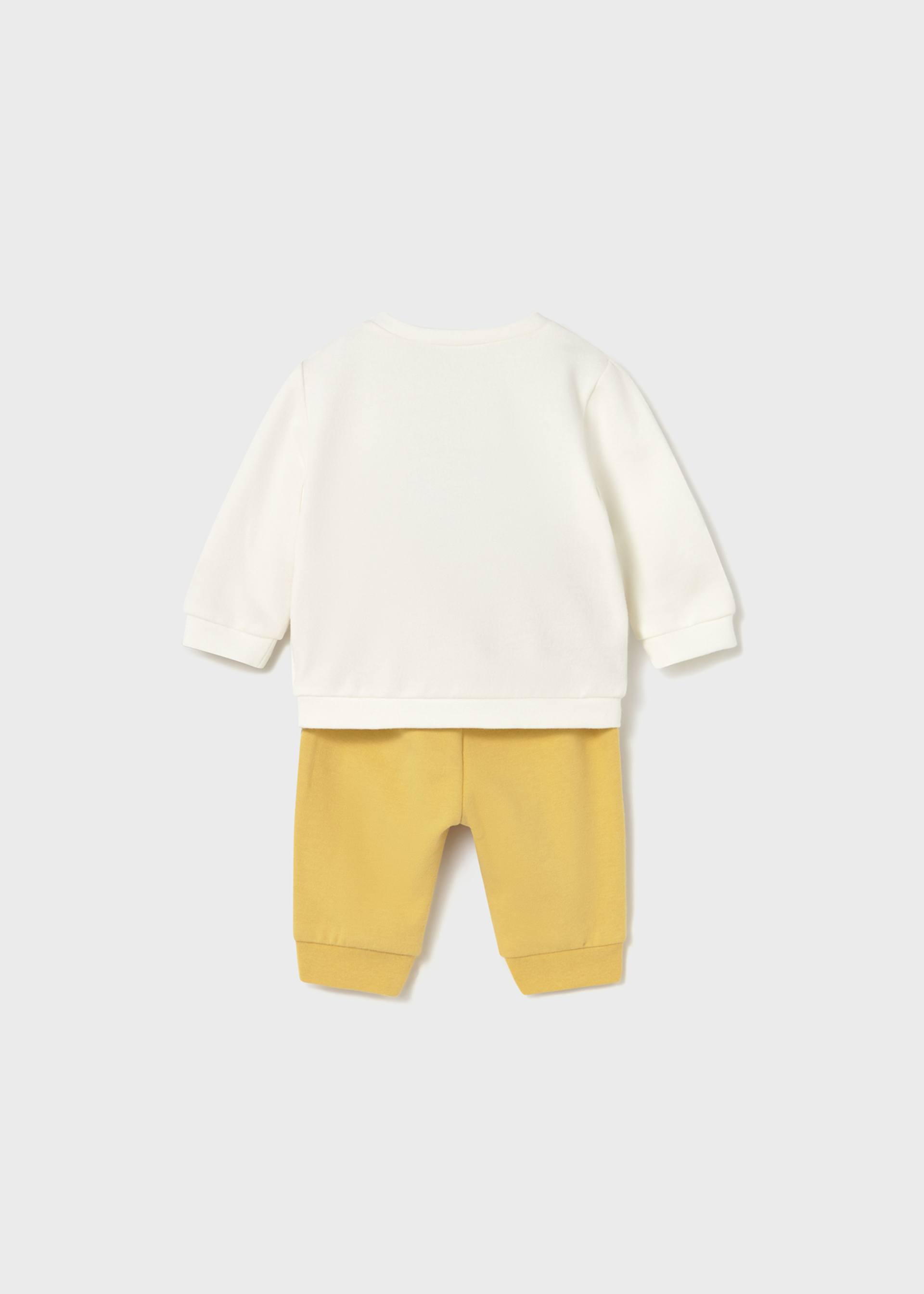 Conjunto 4 piezas dinosaurio recién nacido