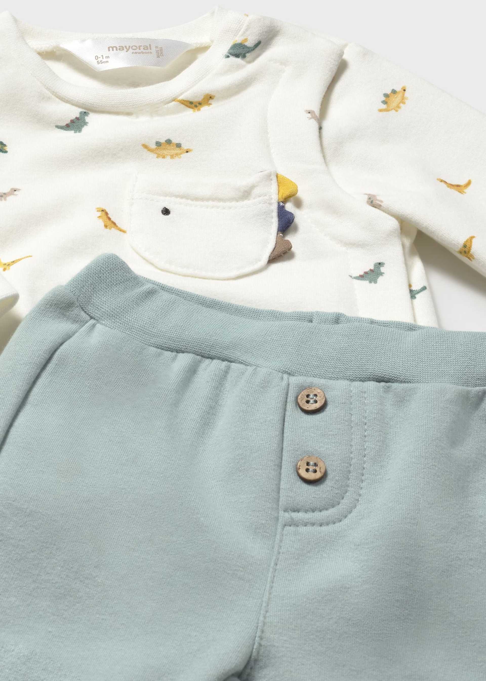 Conjunto 4 piezas dinosaurio recién nacido