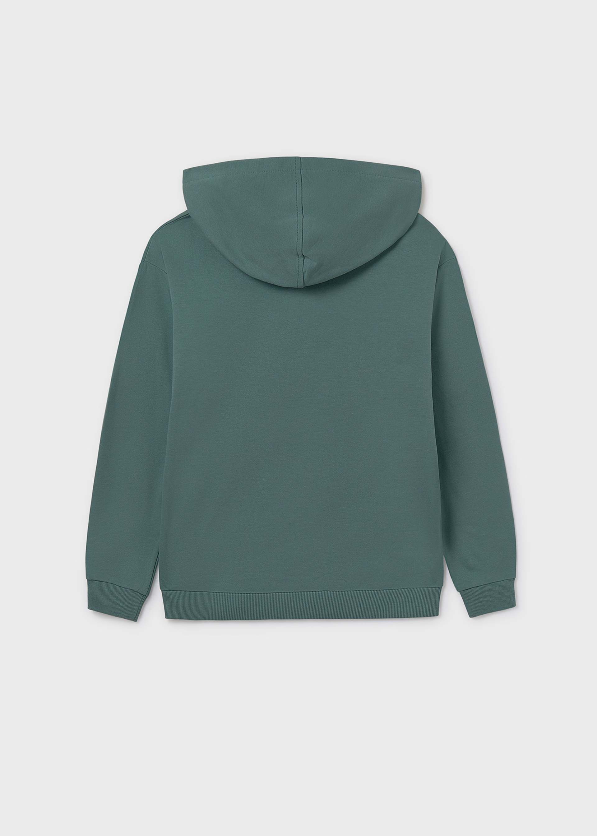 Sudadera con capucha chico Sudadera con capucha chico