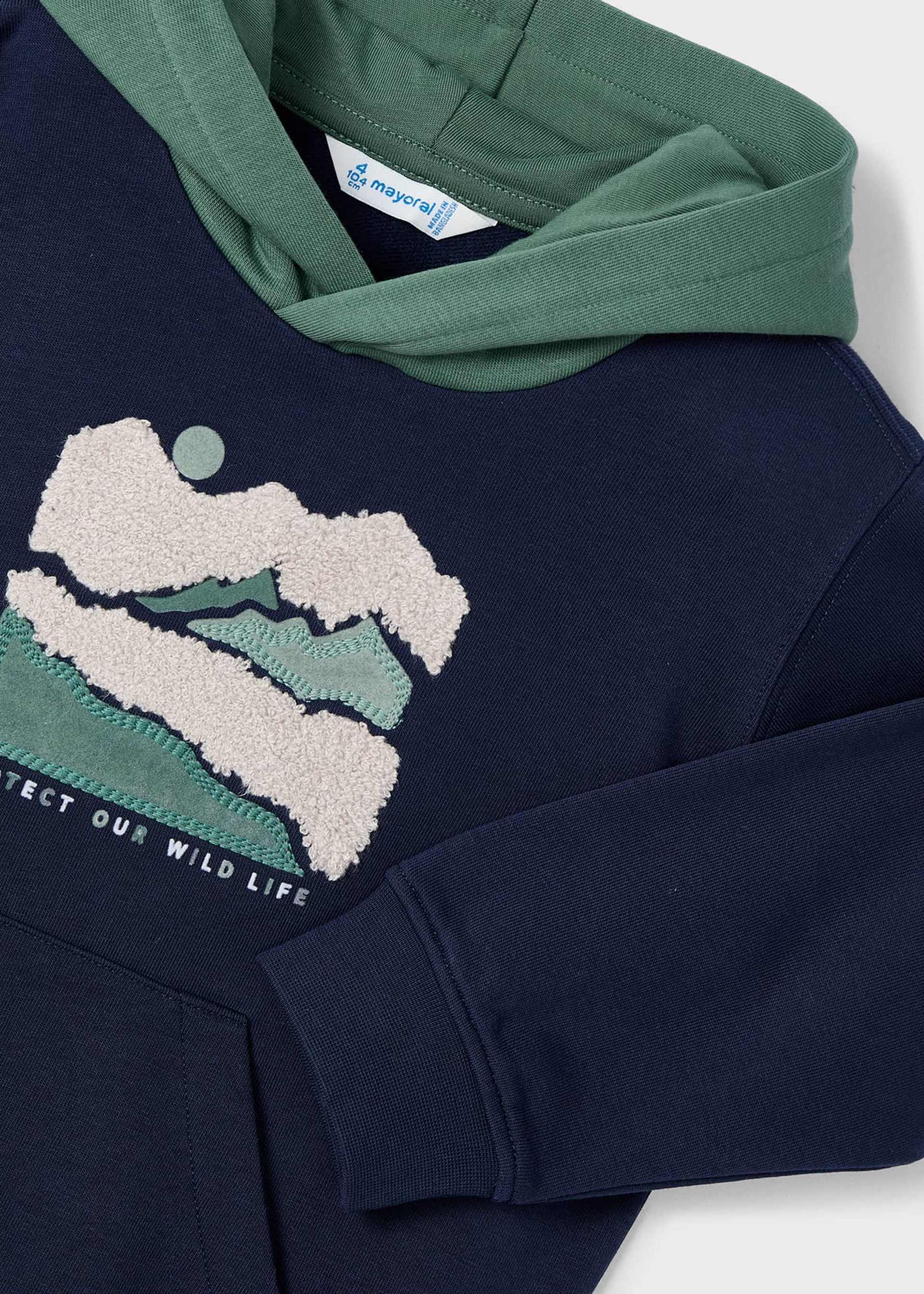 Sweat à capuche appliqué garçon