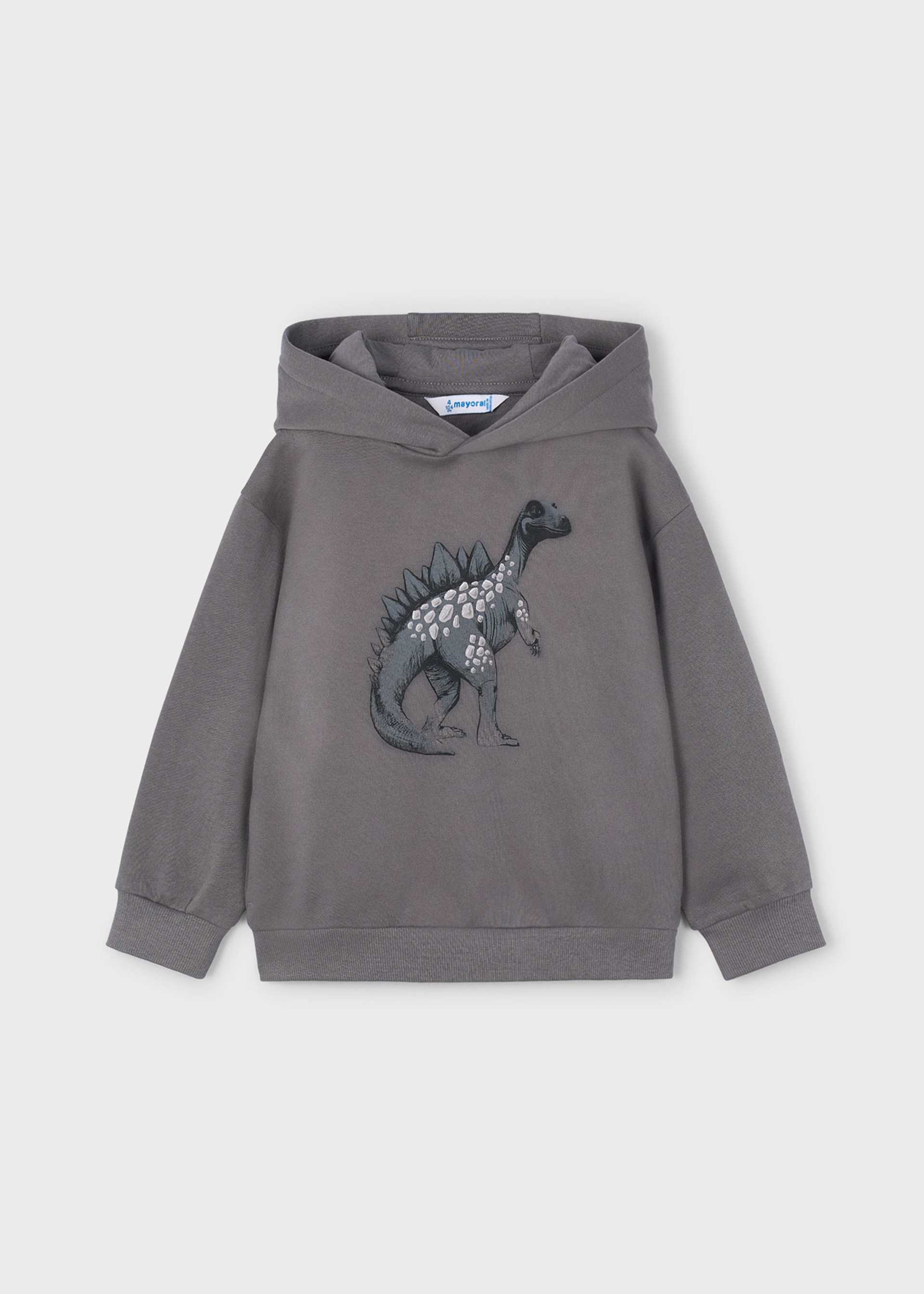 Boys dinosaur hoody