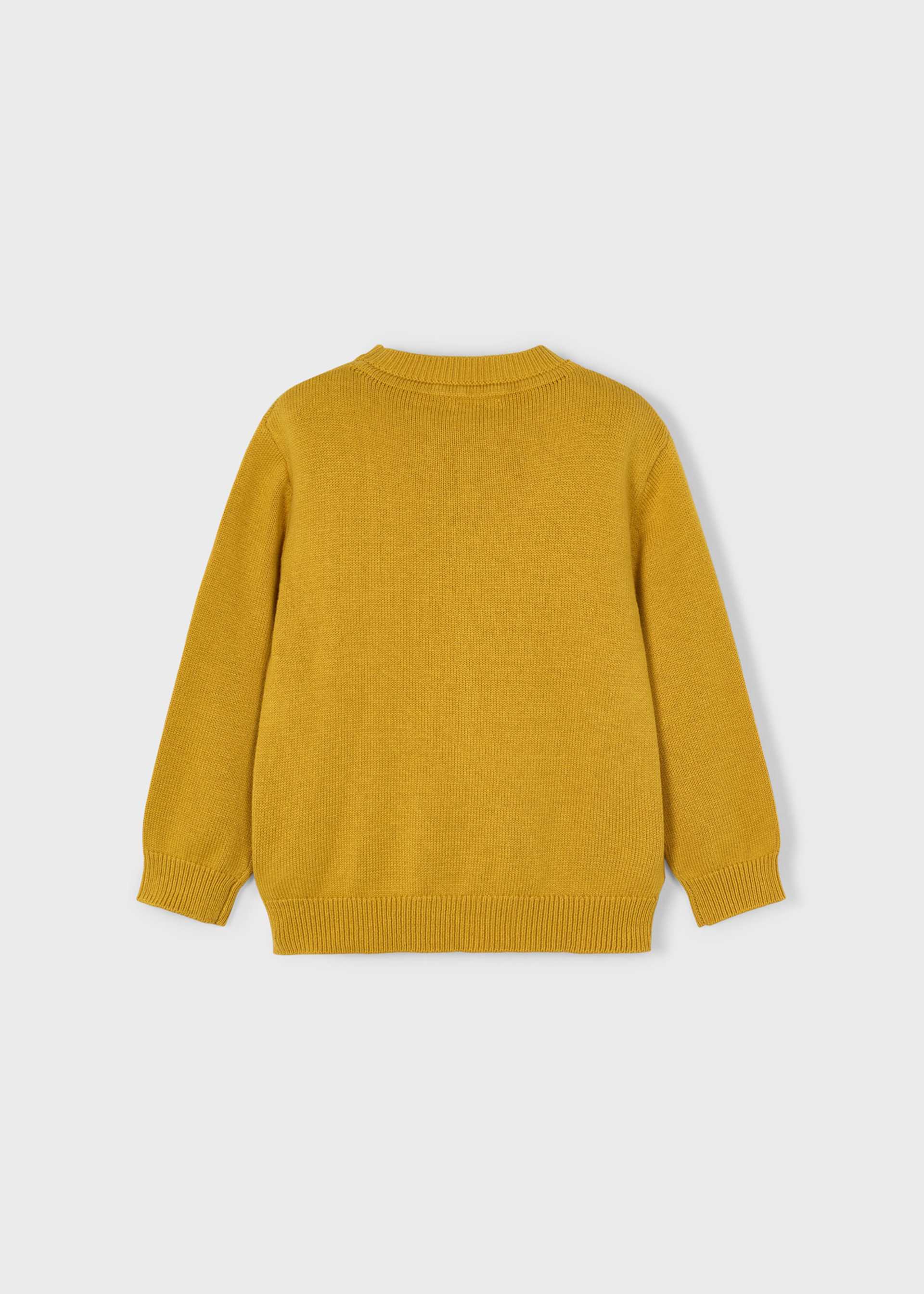 Boy Basic Sweater