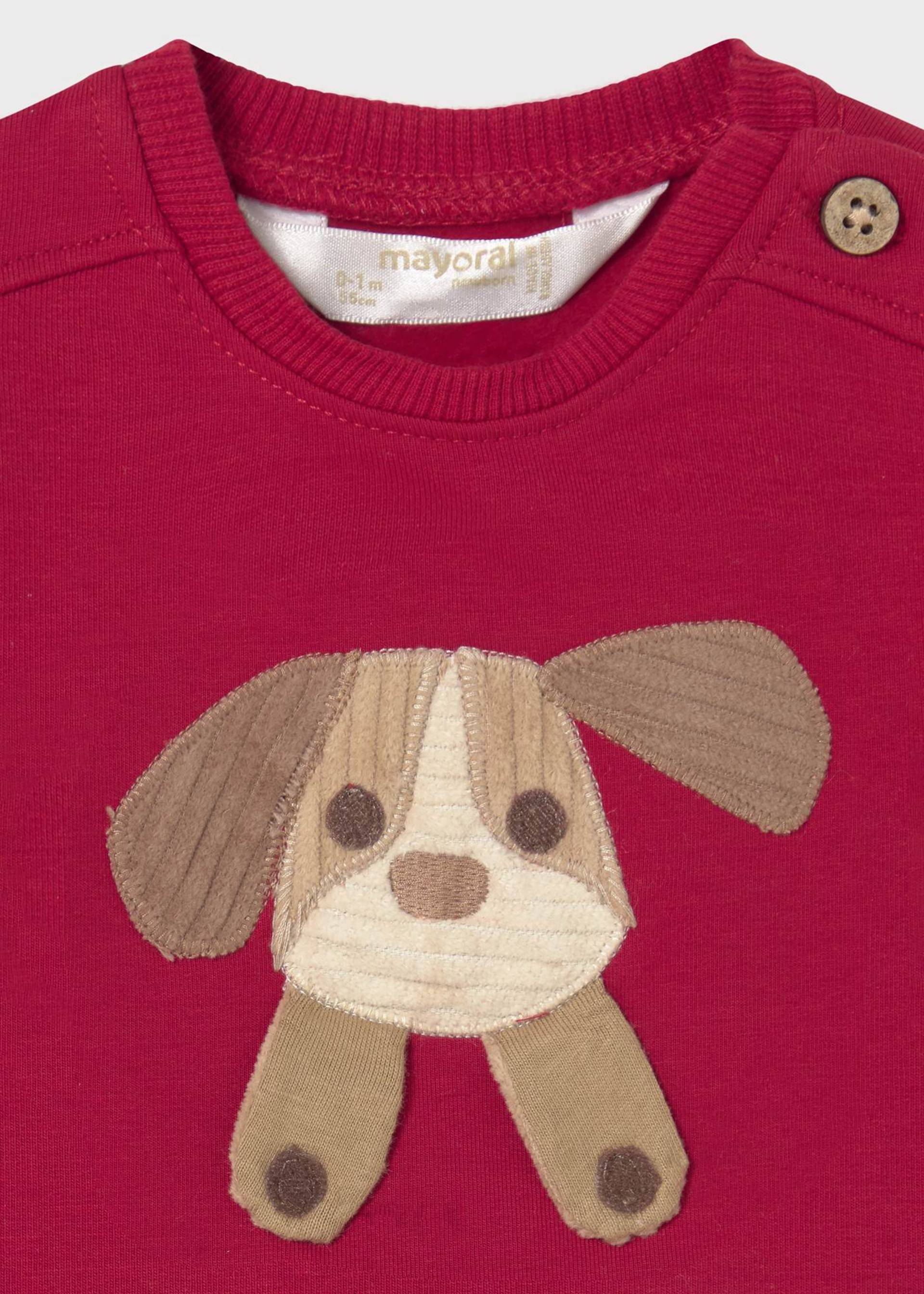 Newborn interactive jumper