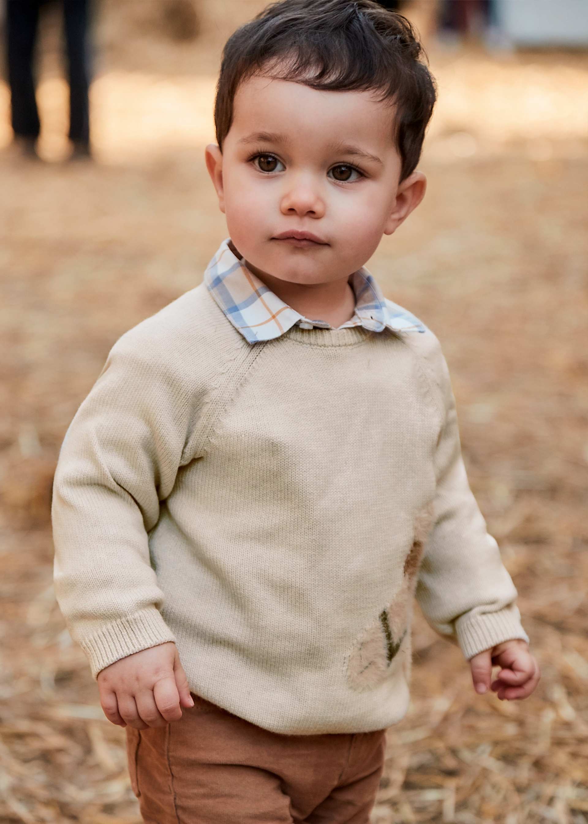 Pull intarsia animal unisex bébé