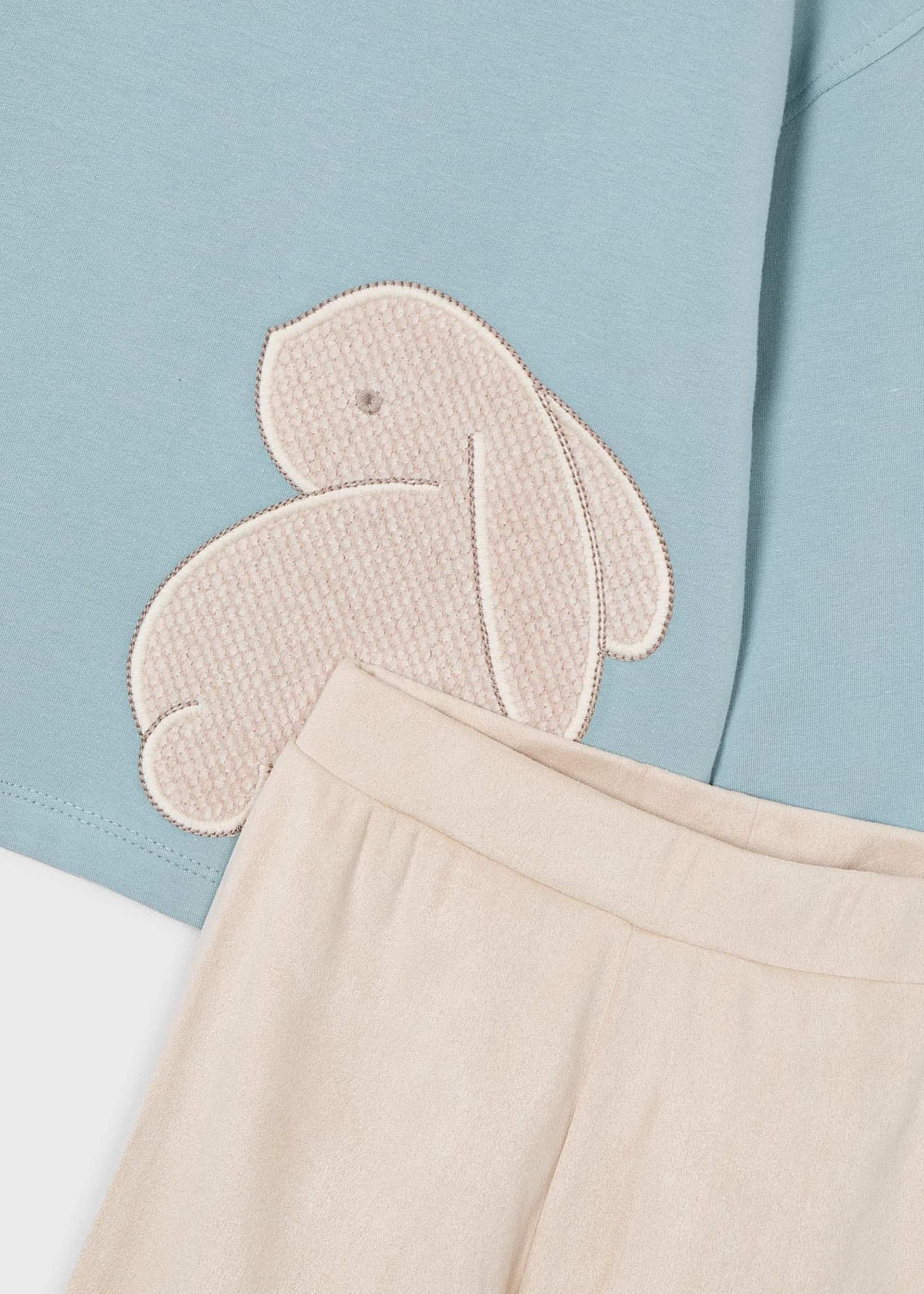 Girl Embroidered Sweatshirt and Leggings Set