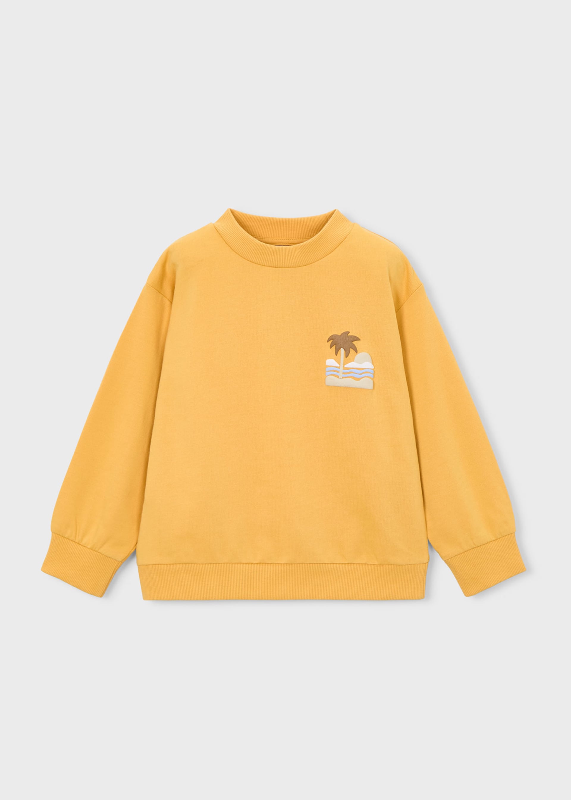 Boy Sweatshirt