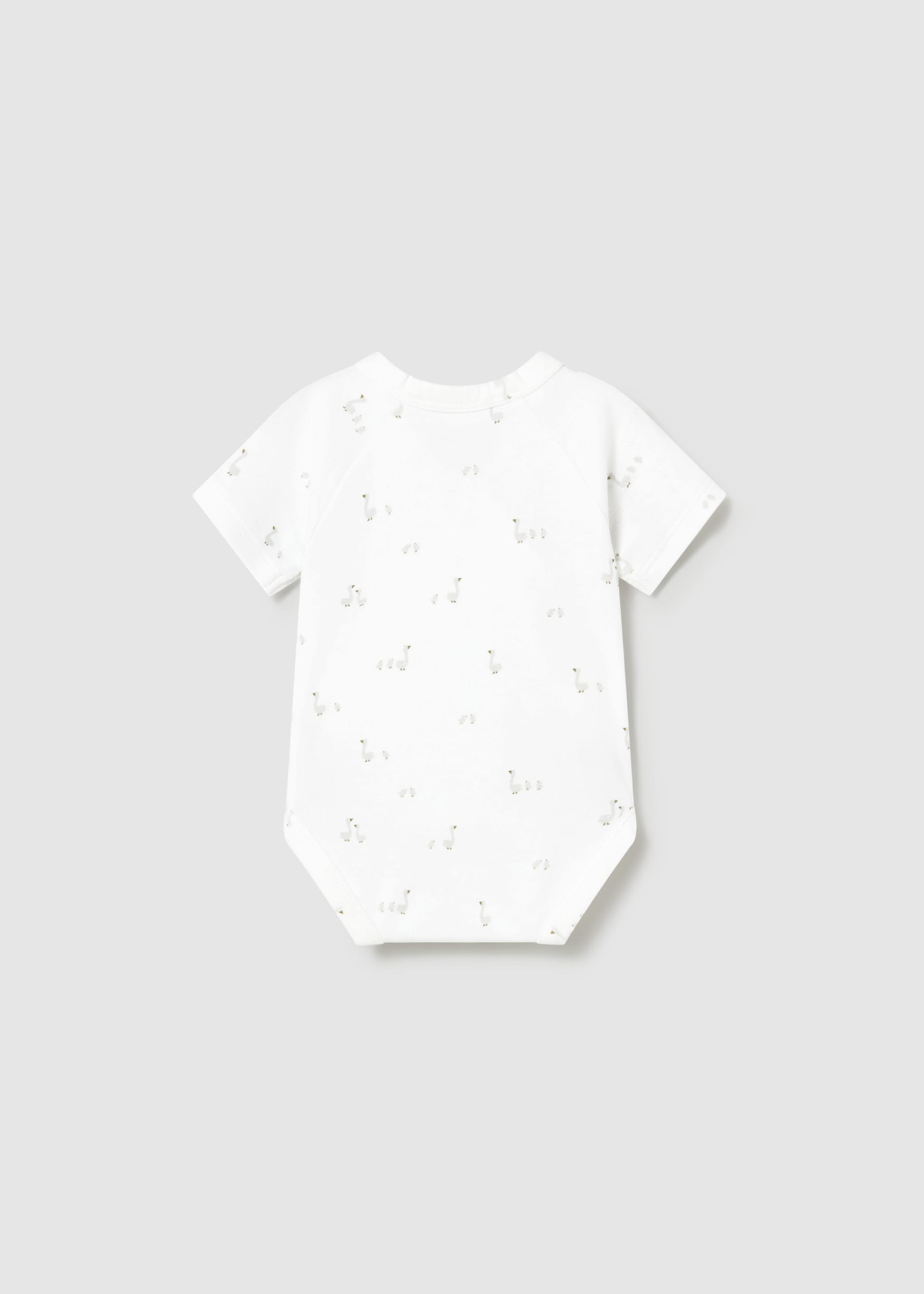 Newborn 2-Pack Bodysuit Set