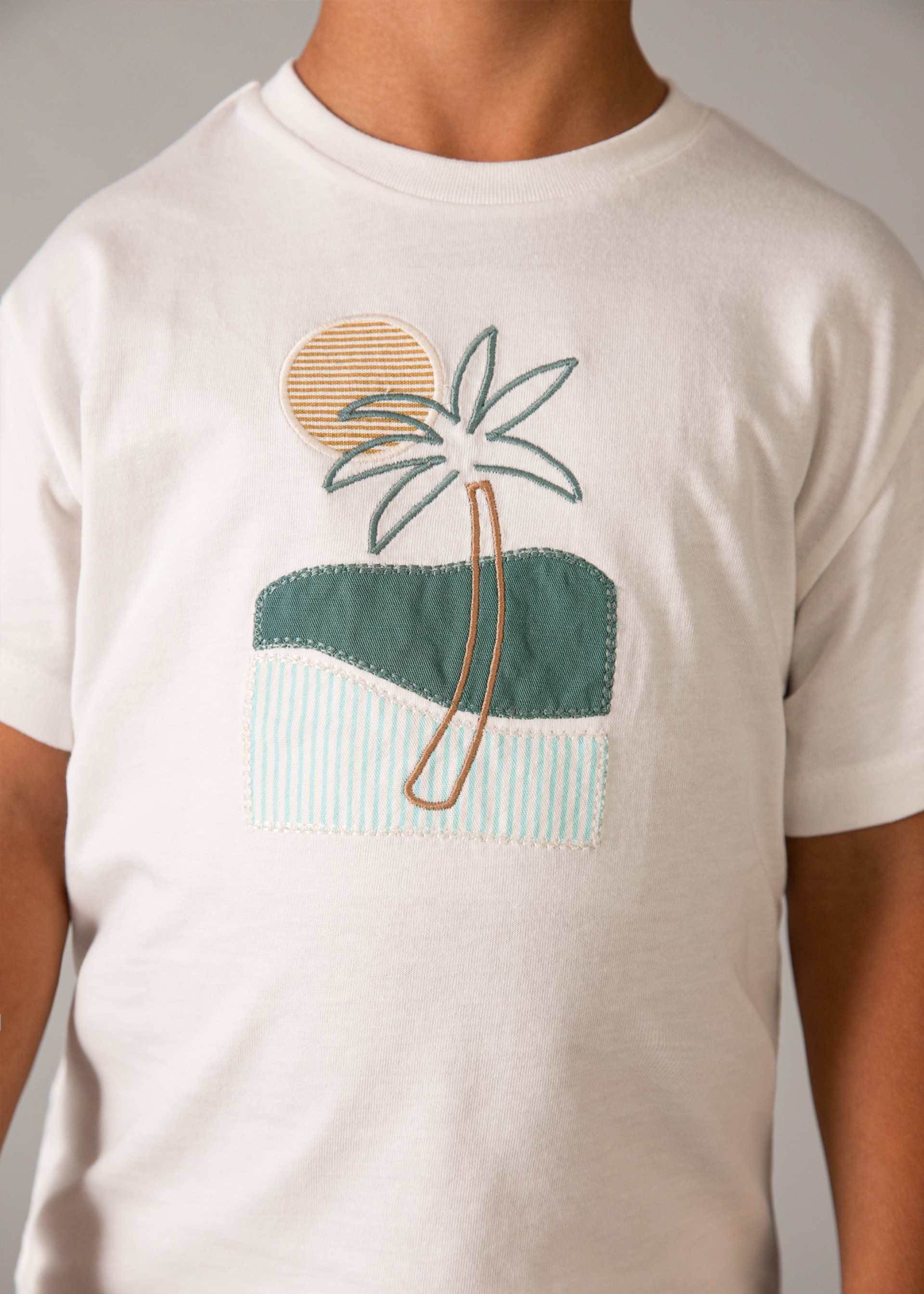 Conjunto bermudas e t-shirt com bordado menino