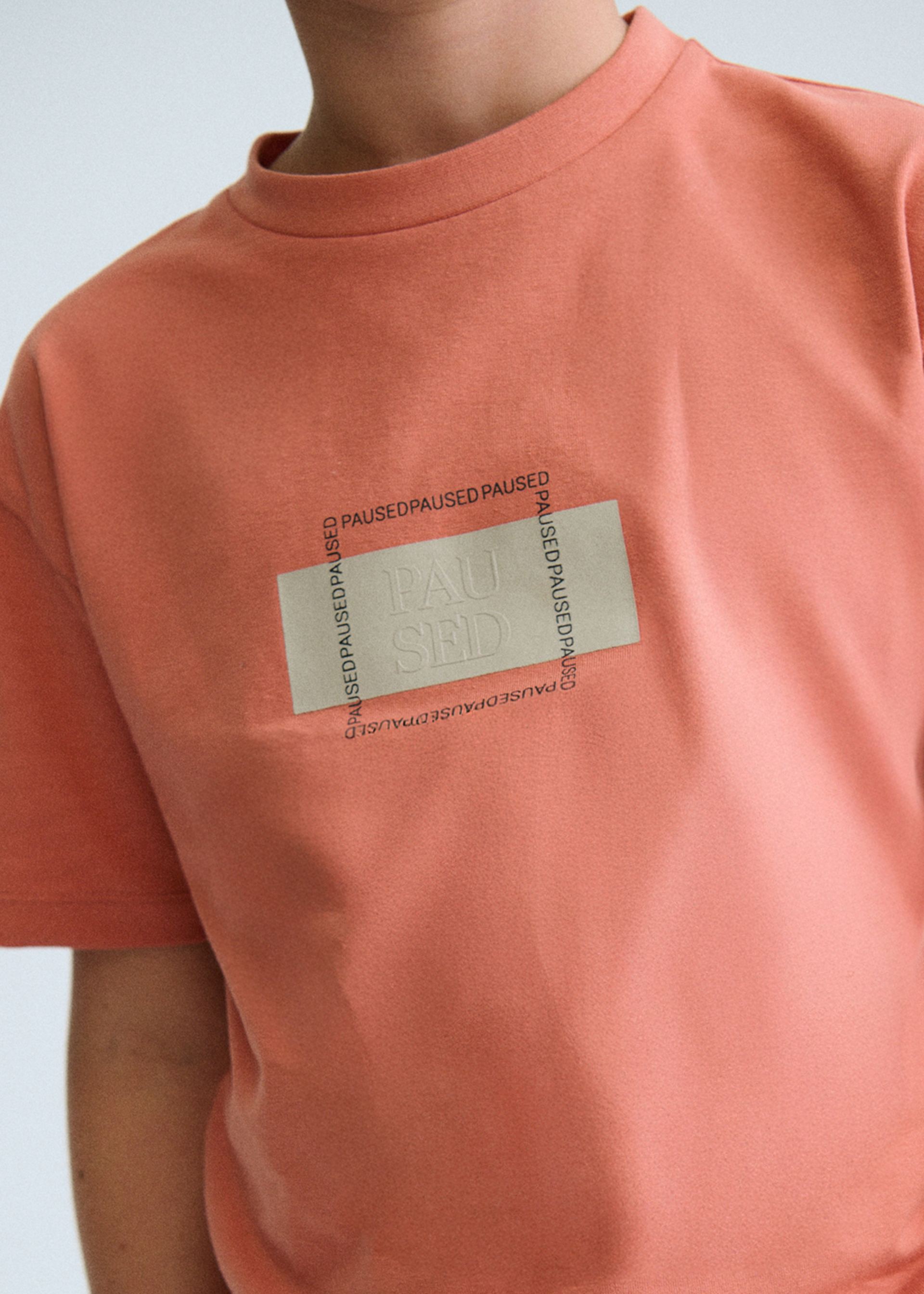 Camiseta serigrafía chico