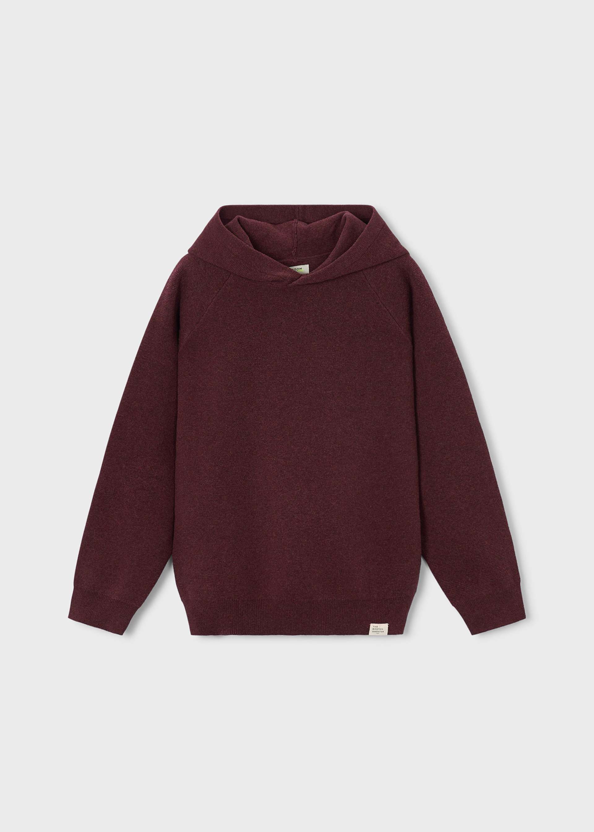Boston Kids hooded jumper